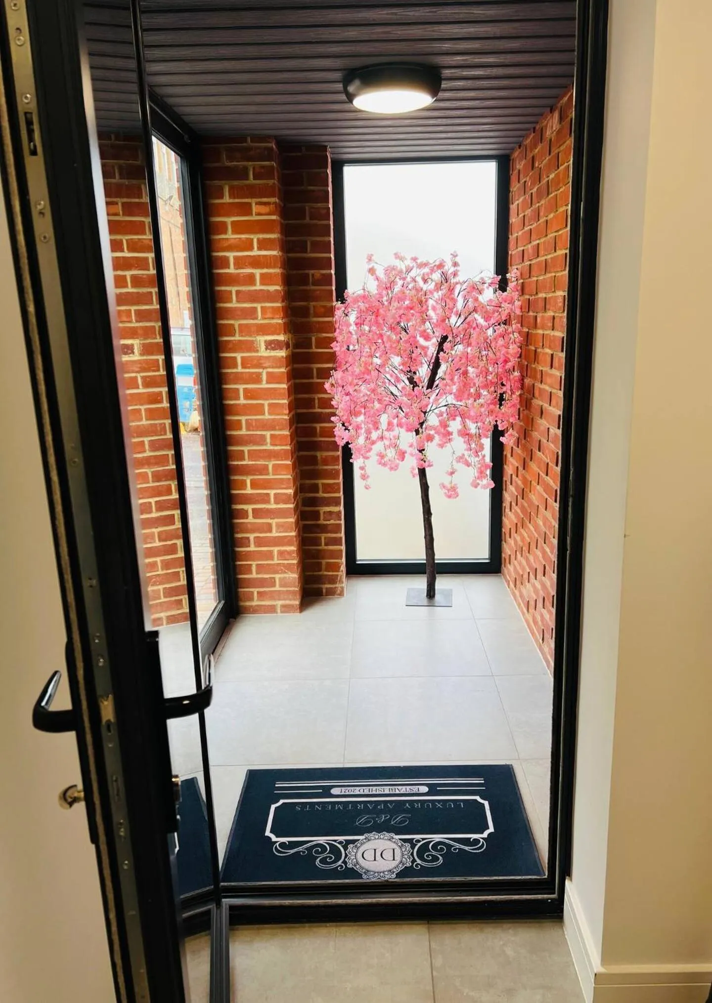 D & D Luxury Apartments