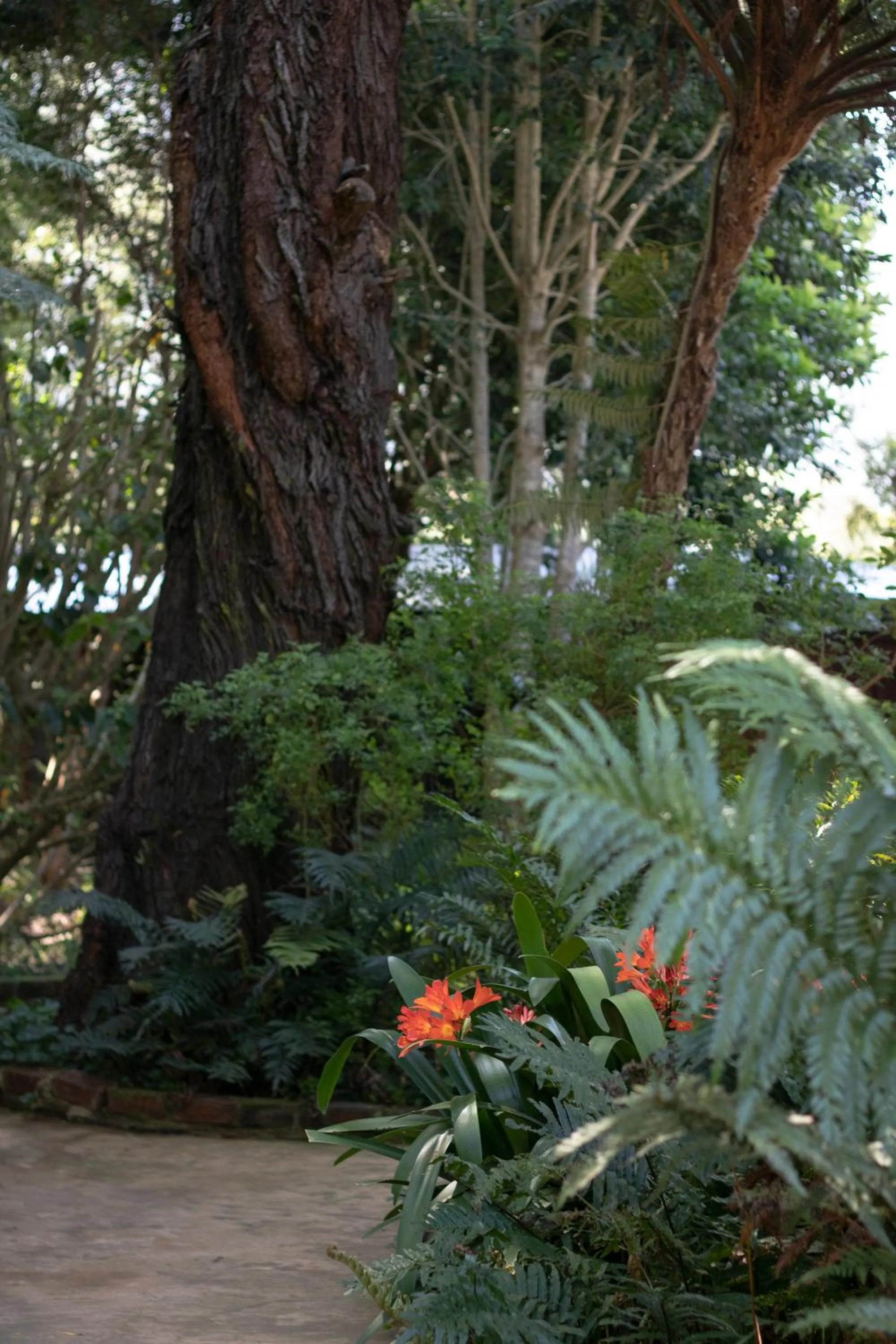Property building in Andelomi Forest Lodge