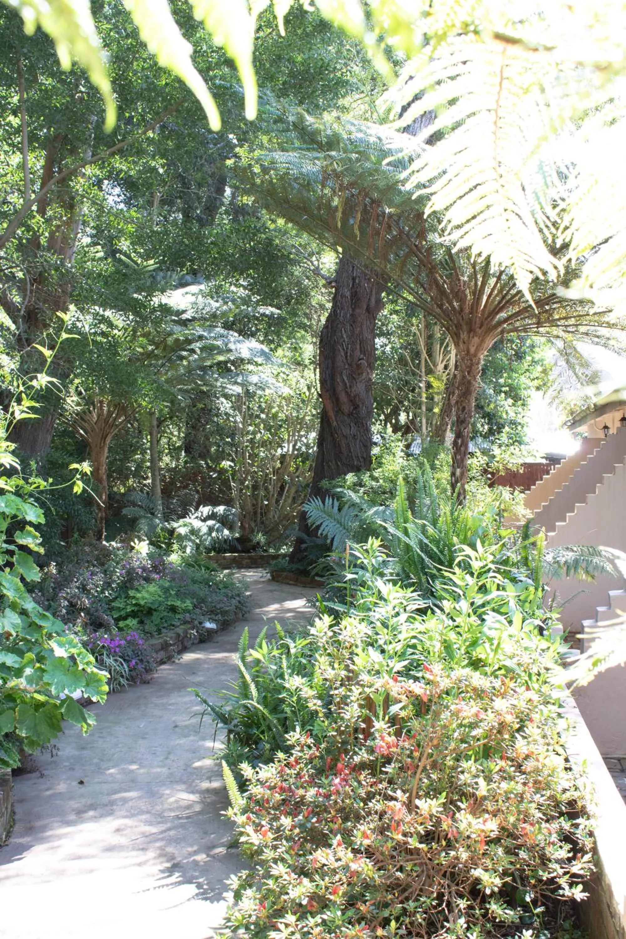 Garden view in Andelomi Forest Lodge