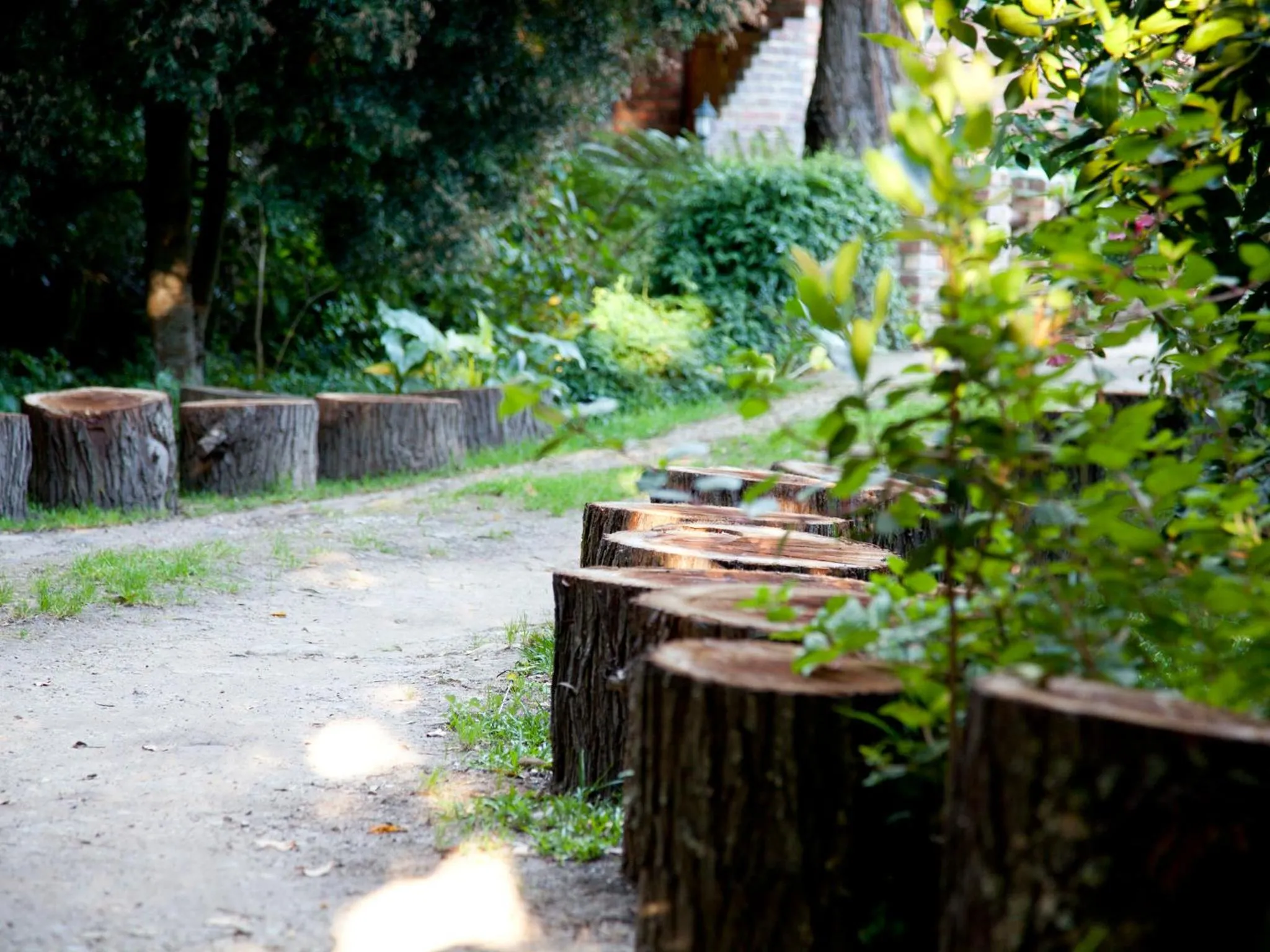 Facade/entrance in Andelomi Forest Lodge