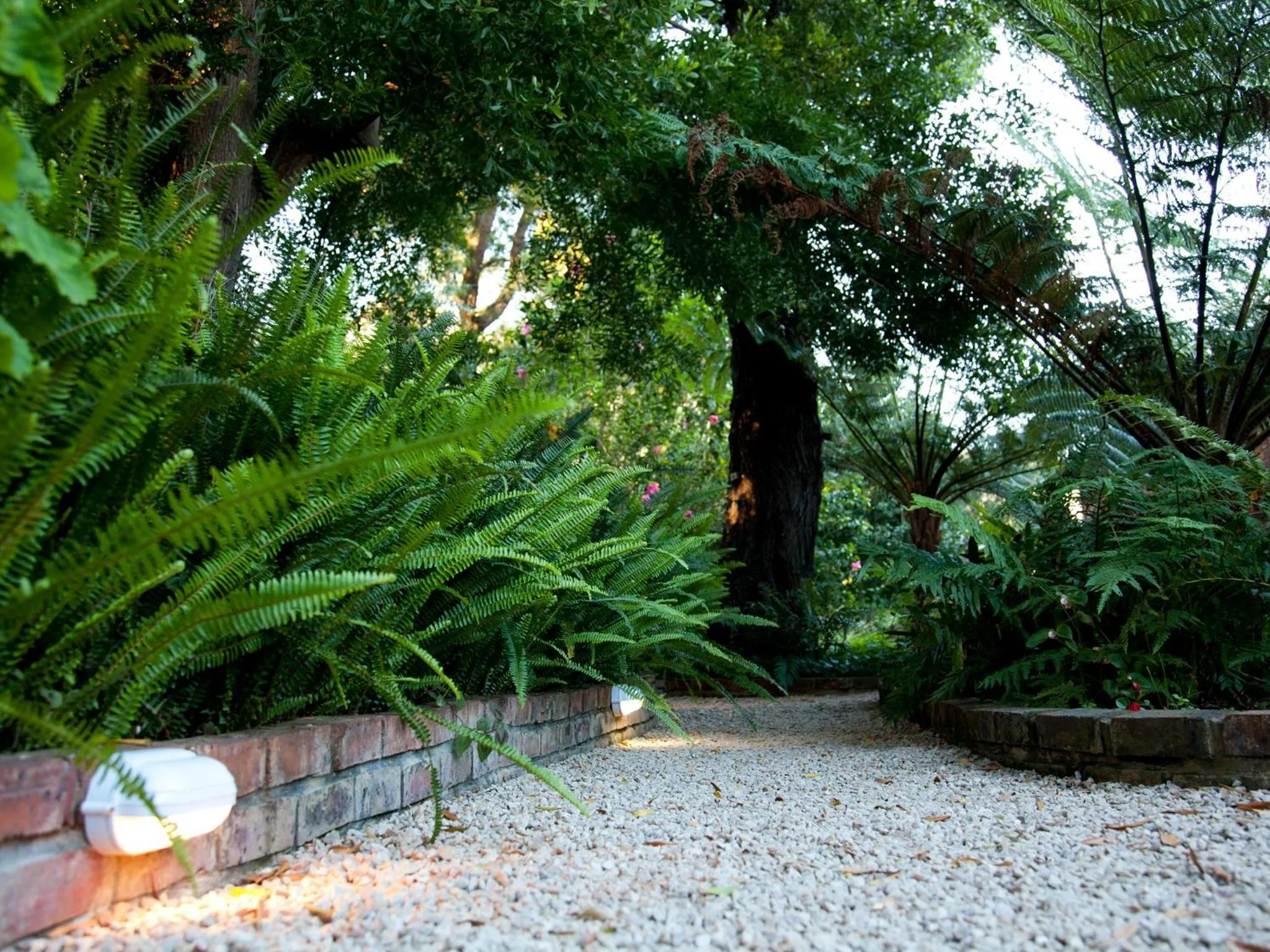 Garden in Andelomi Forest Lodge
