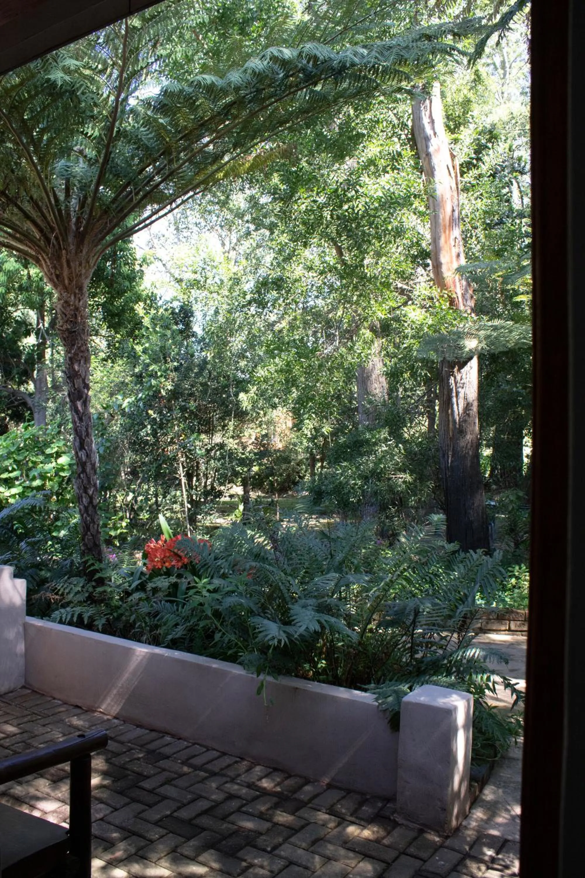 Garden view in Andelomi Forest Lodge