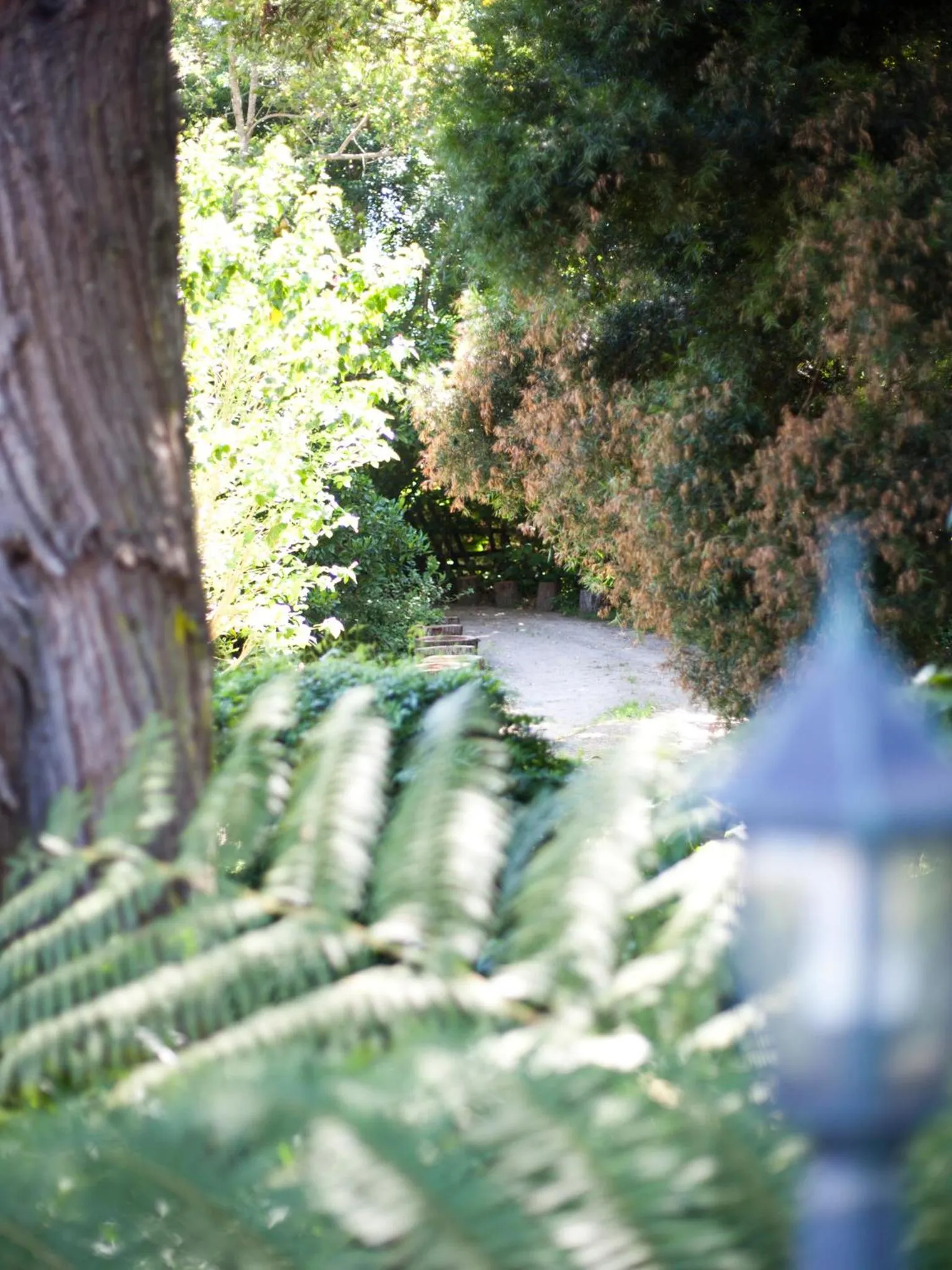 Facade/entrance in Andelomi Forest Lodge