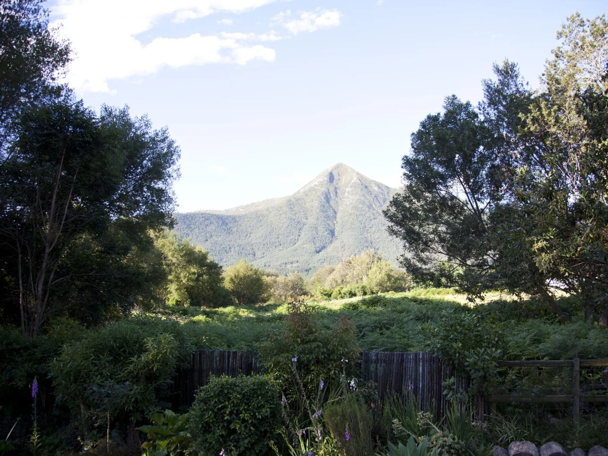 Facade/entrance in Andelomi Forest Lodge