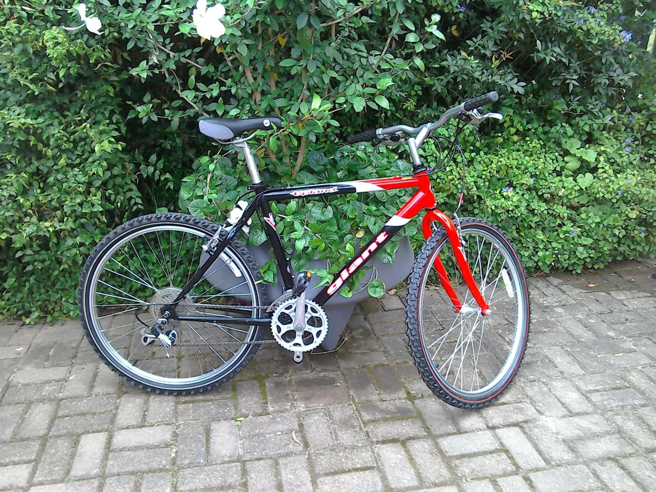 Cycling in Andelomi Forest Lodge