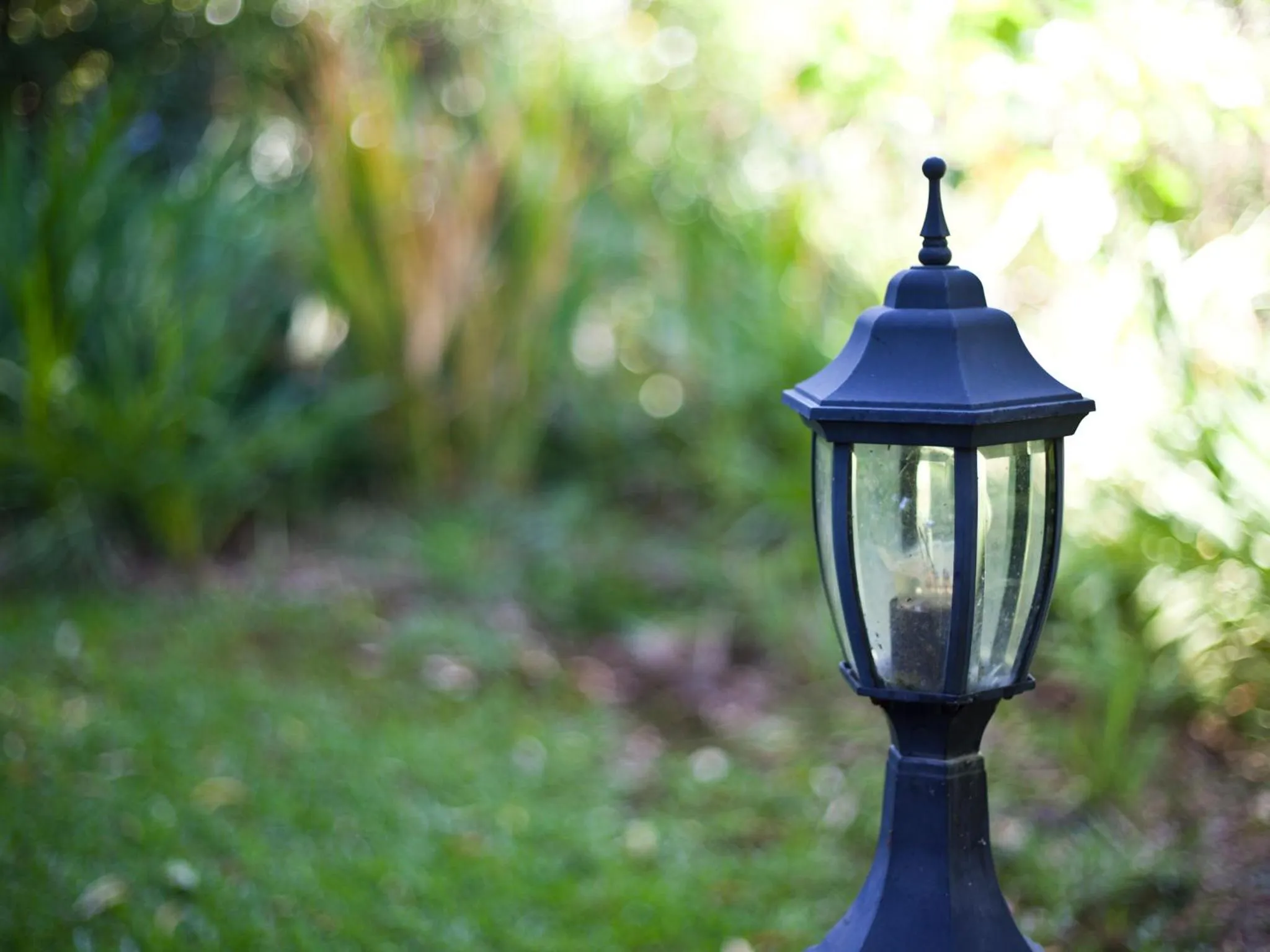Garden in Andelomi Forest Lodge