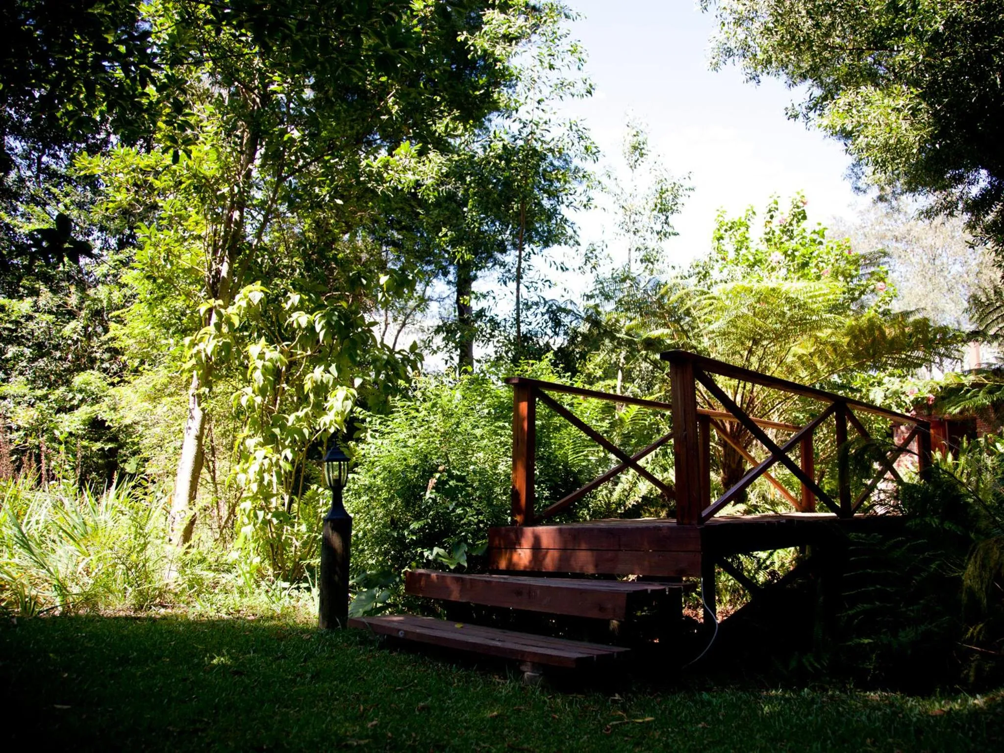 Garden in Andelomi Forest Lodge