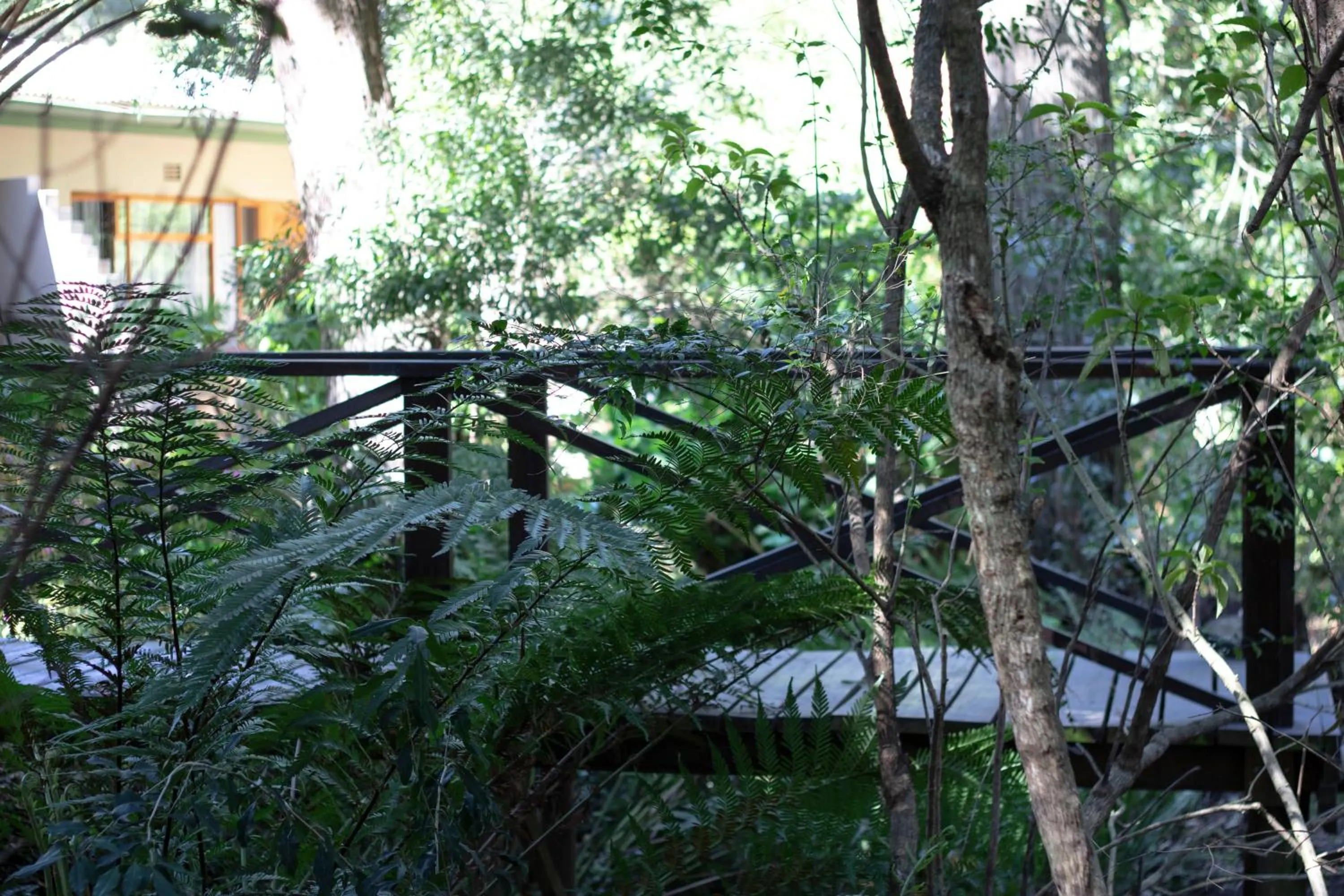 Property building in Andelomi Forest Lodge