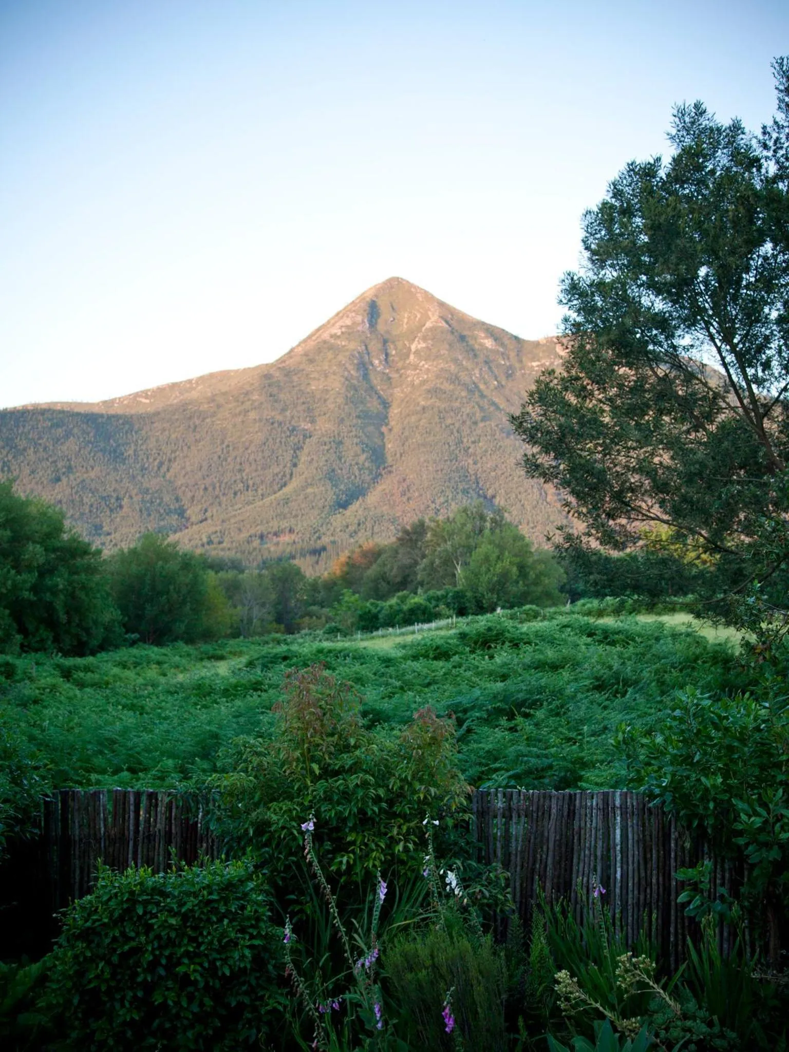 View (from property/room) in Andelomi Forest Lodge
