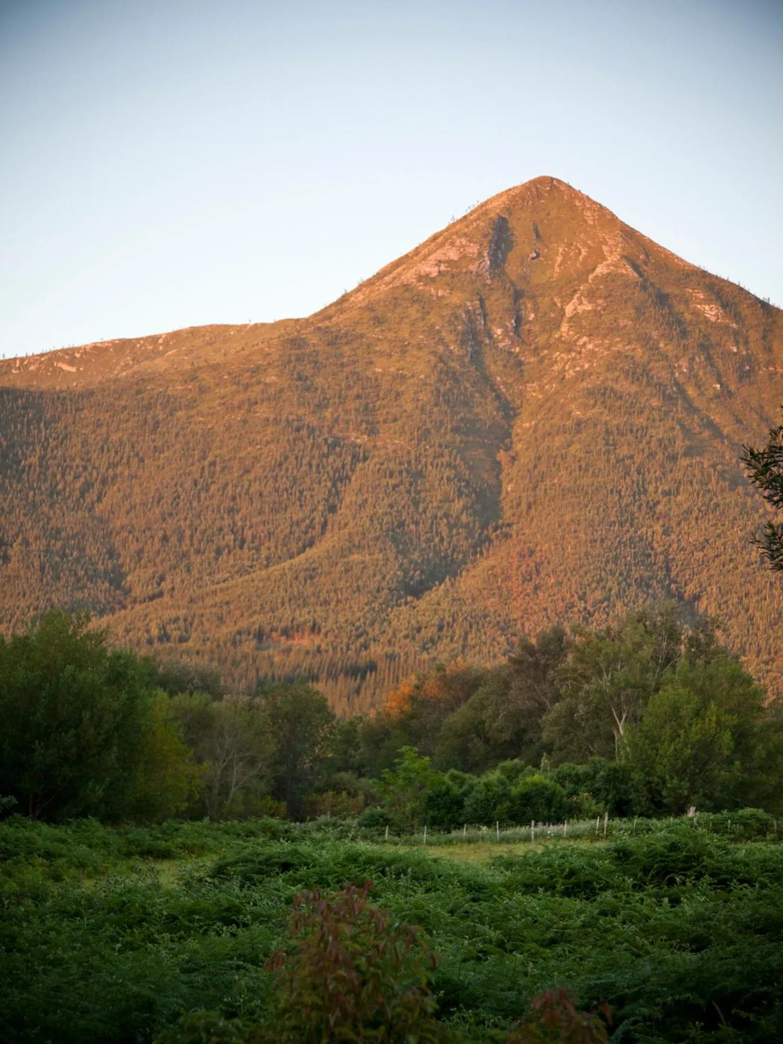 View (from property/room) in Andelomi Forest Lodge