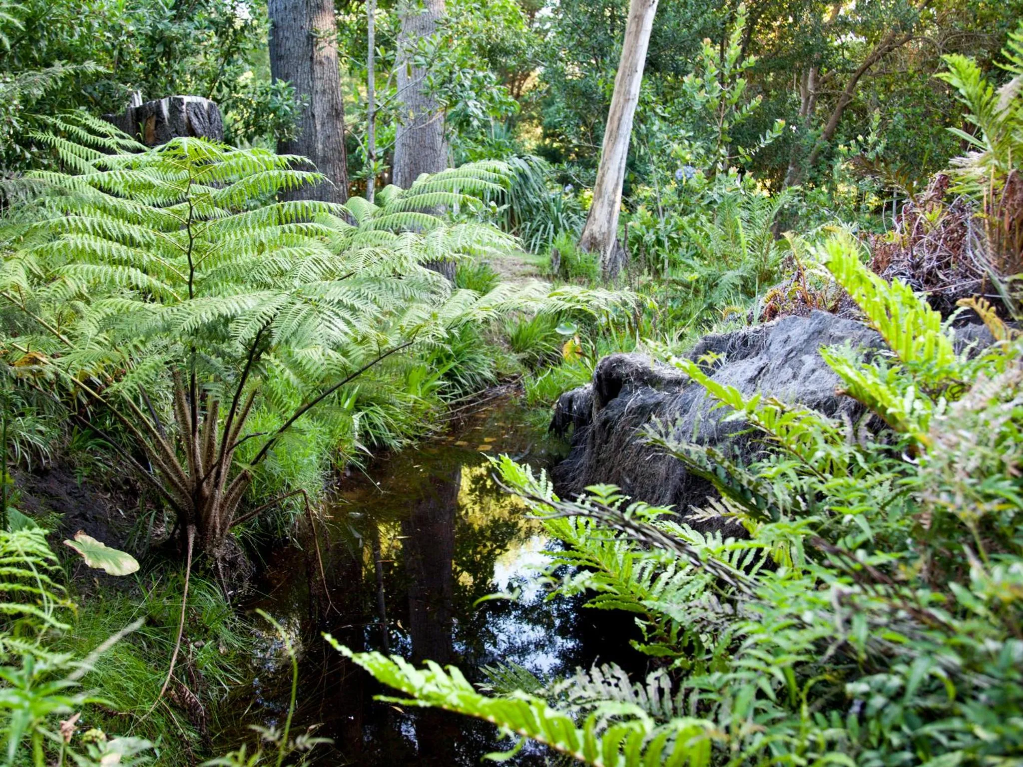 Garden in Andelomi Forest Lodge
