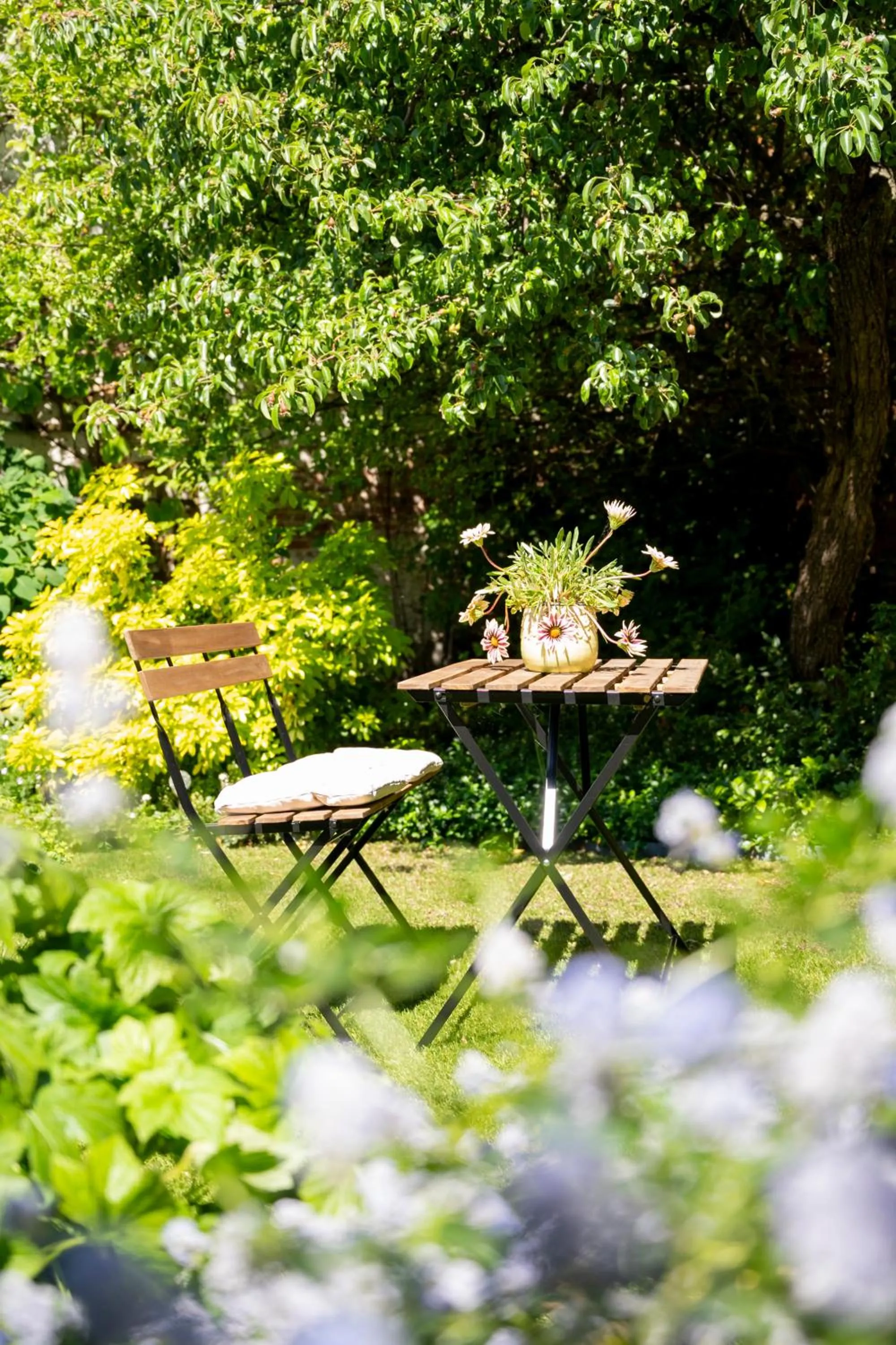Garden in BnB De Koepoort
