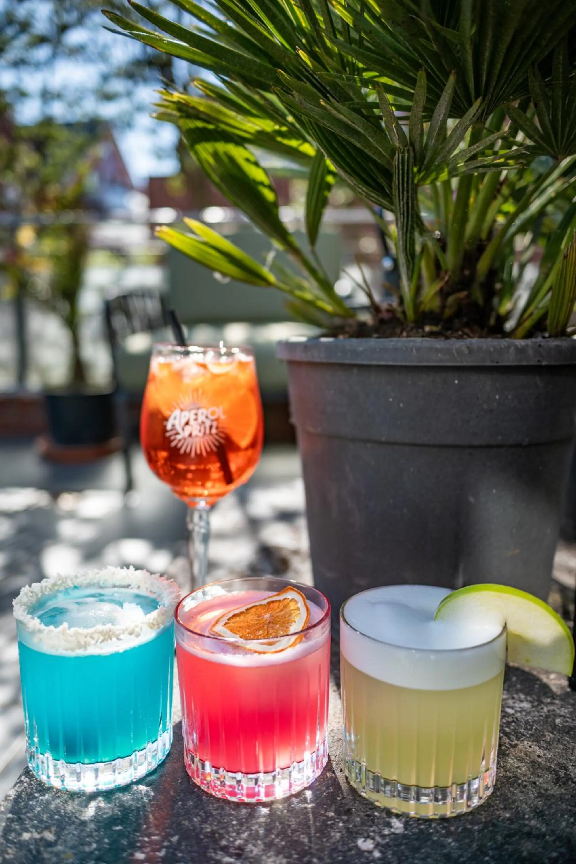 Lounge or bar in Hotel Atlantic Juist