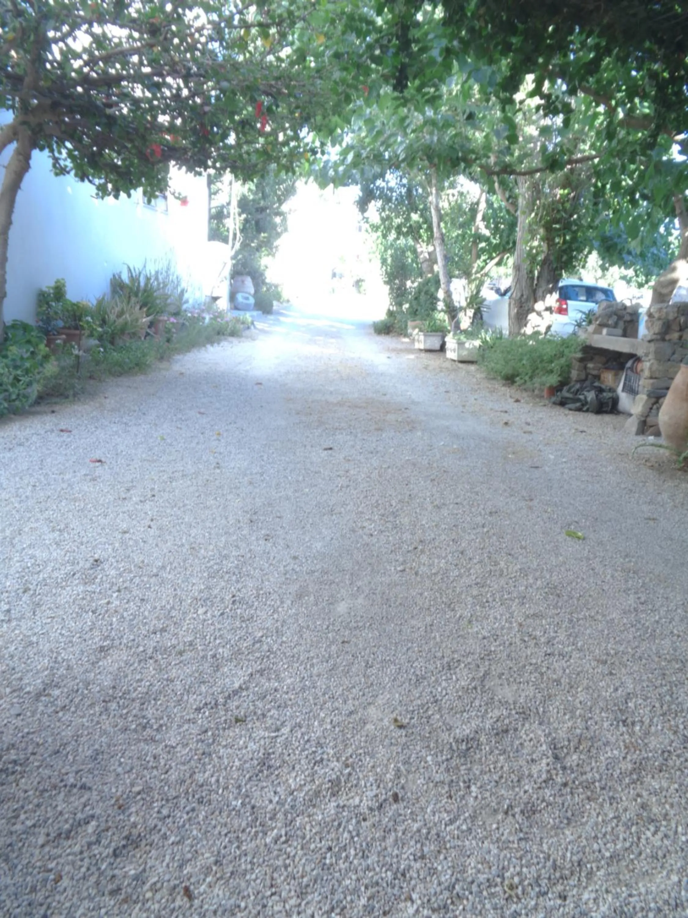 Natural landscape in LITHI