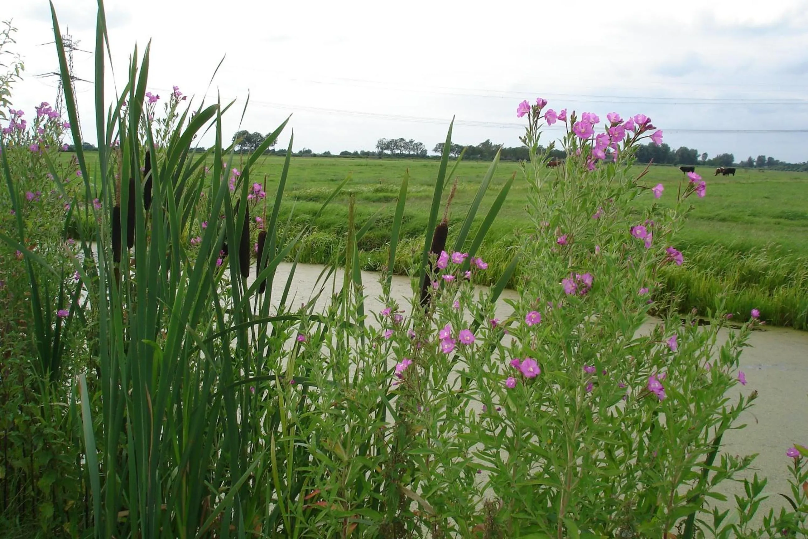 Area and facilities in Boerderij Hazenveld