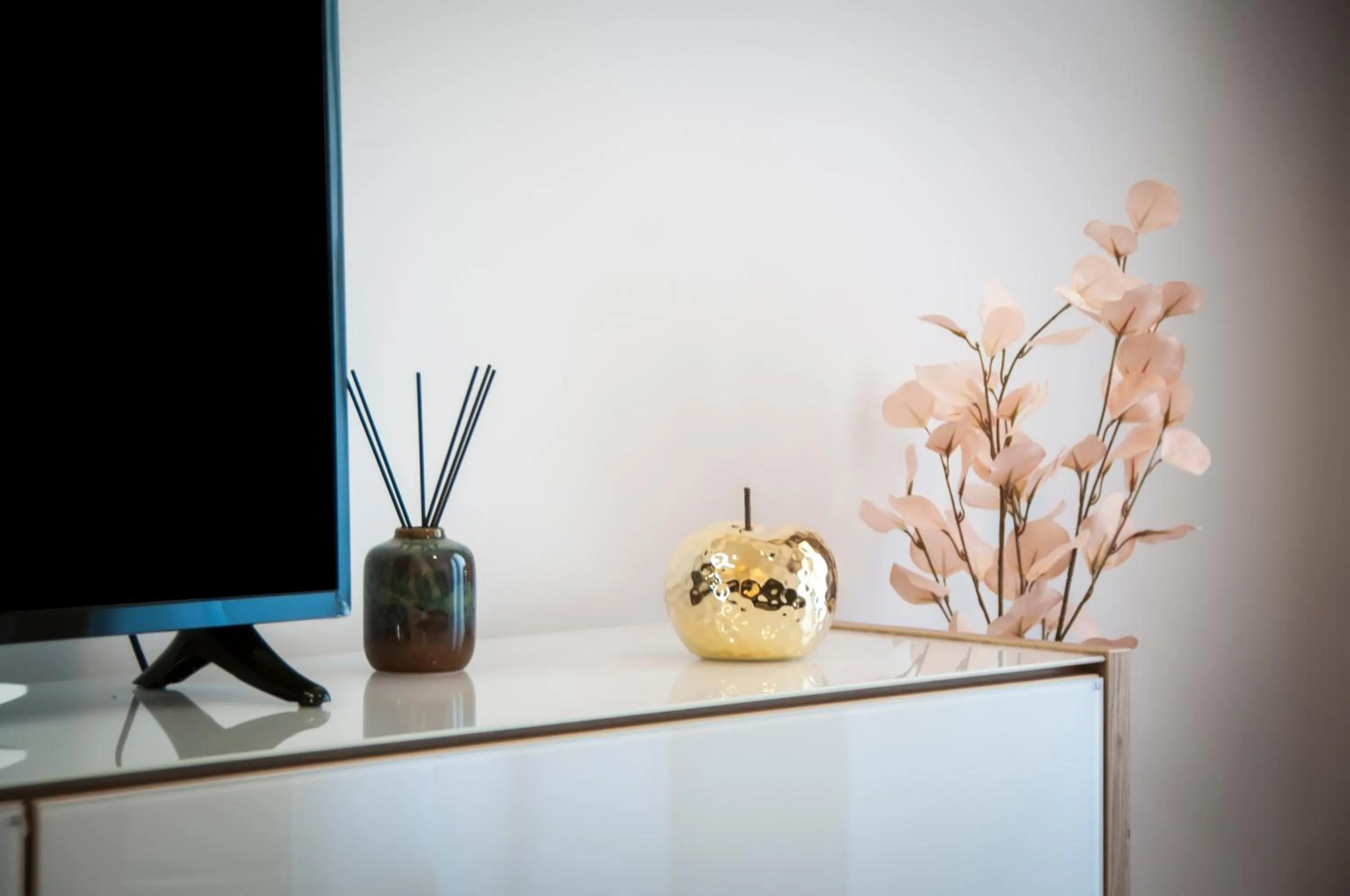 TV and multimedia in Apartments Sanja-New renovated