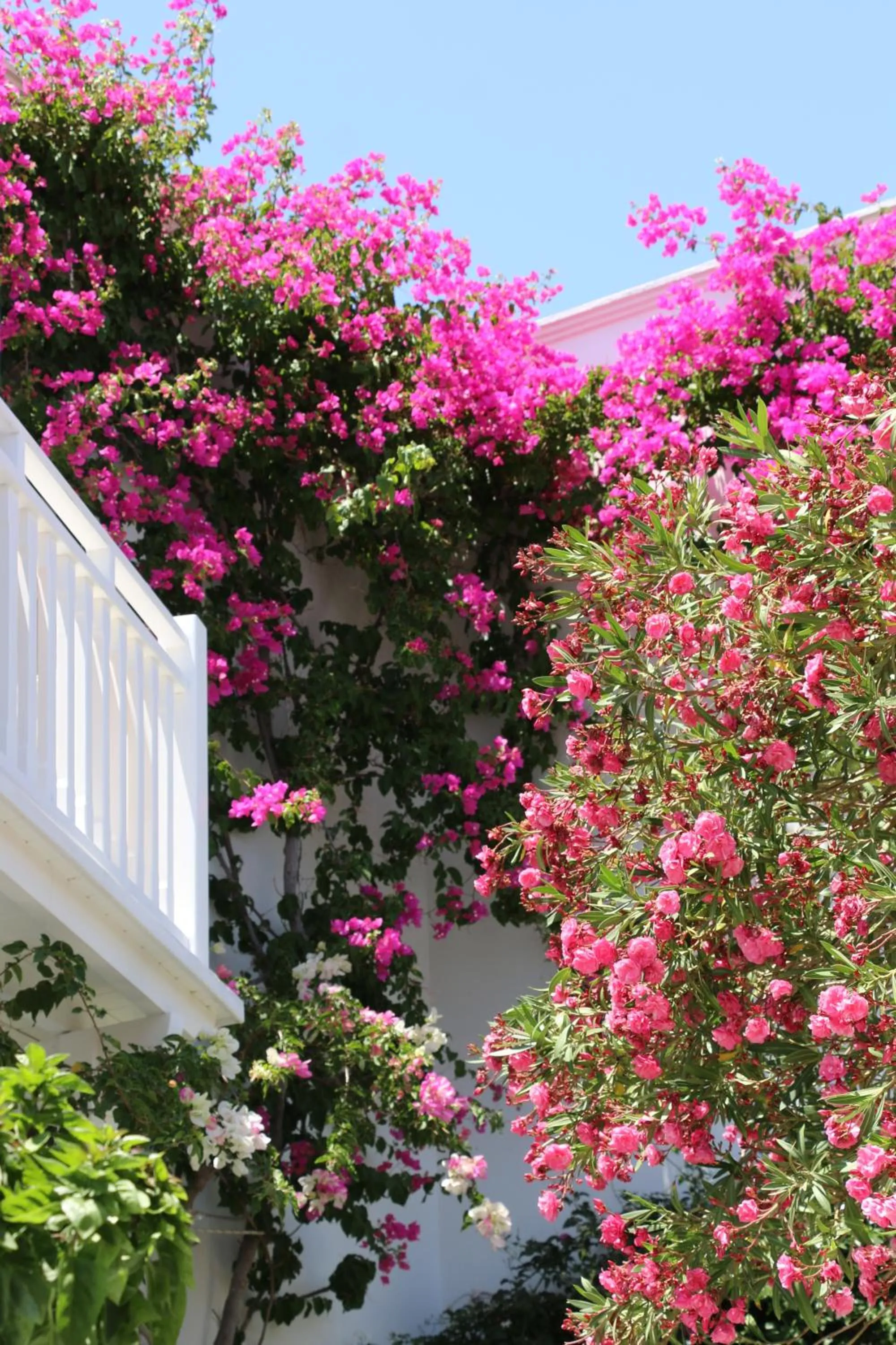 SPIROS & HIROKO Hotel - ADULTS ONLY