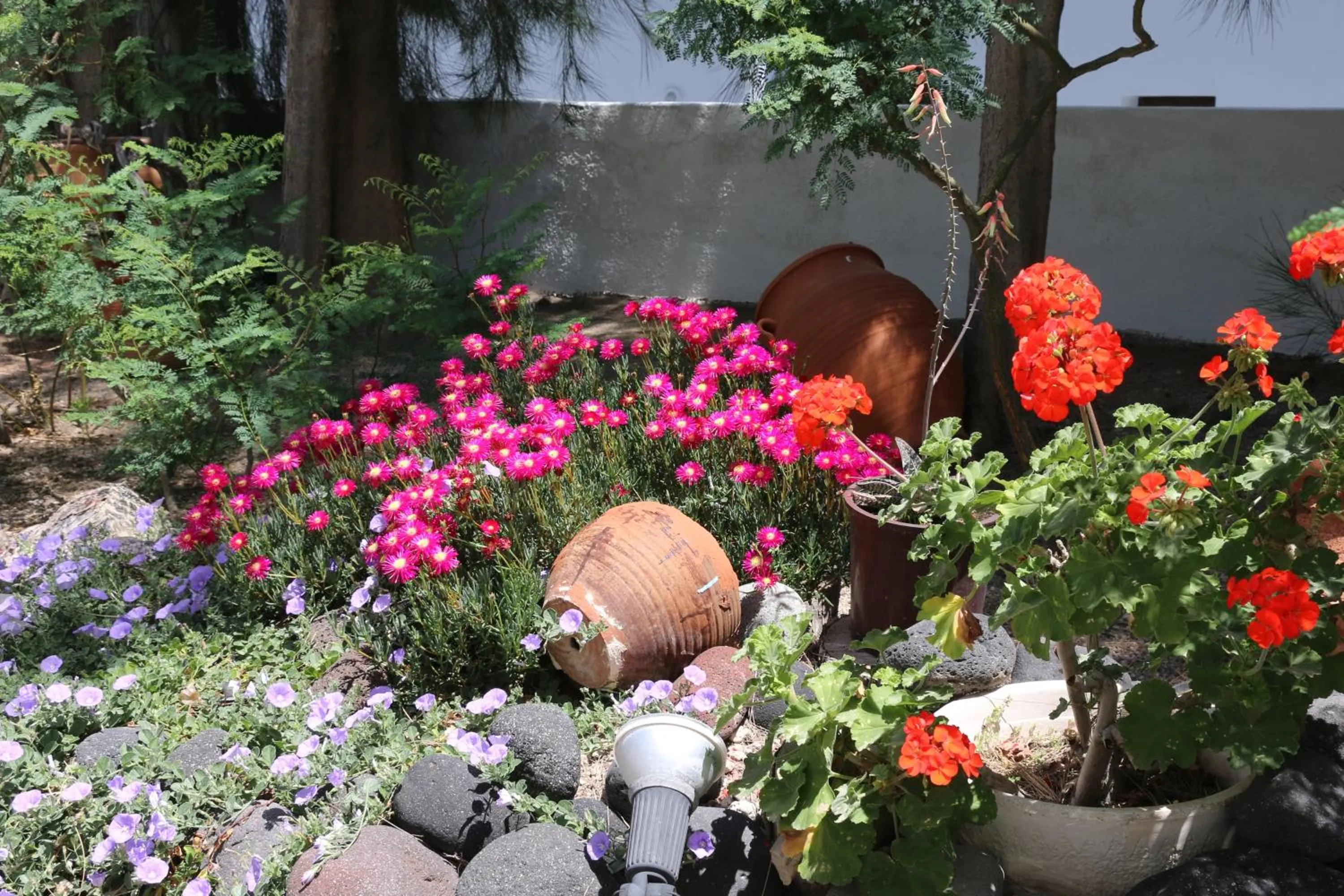 SPIROS & HIROKO Hotel - ADULTS ONLY