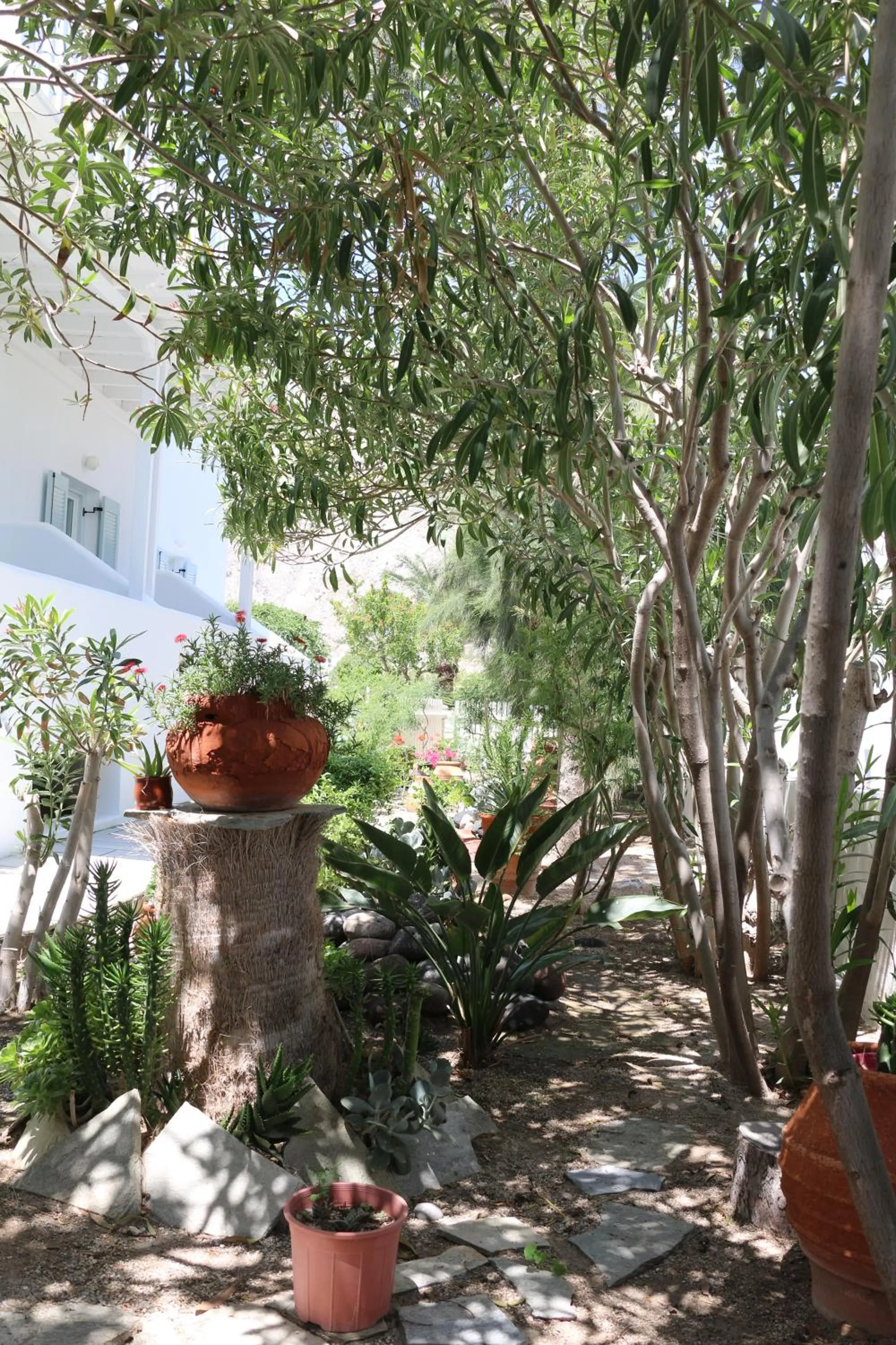 SPIROS & HIROKO Hotel - ADULTS ONLY