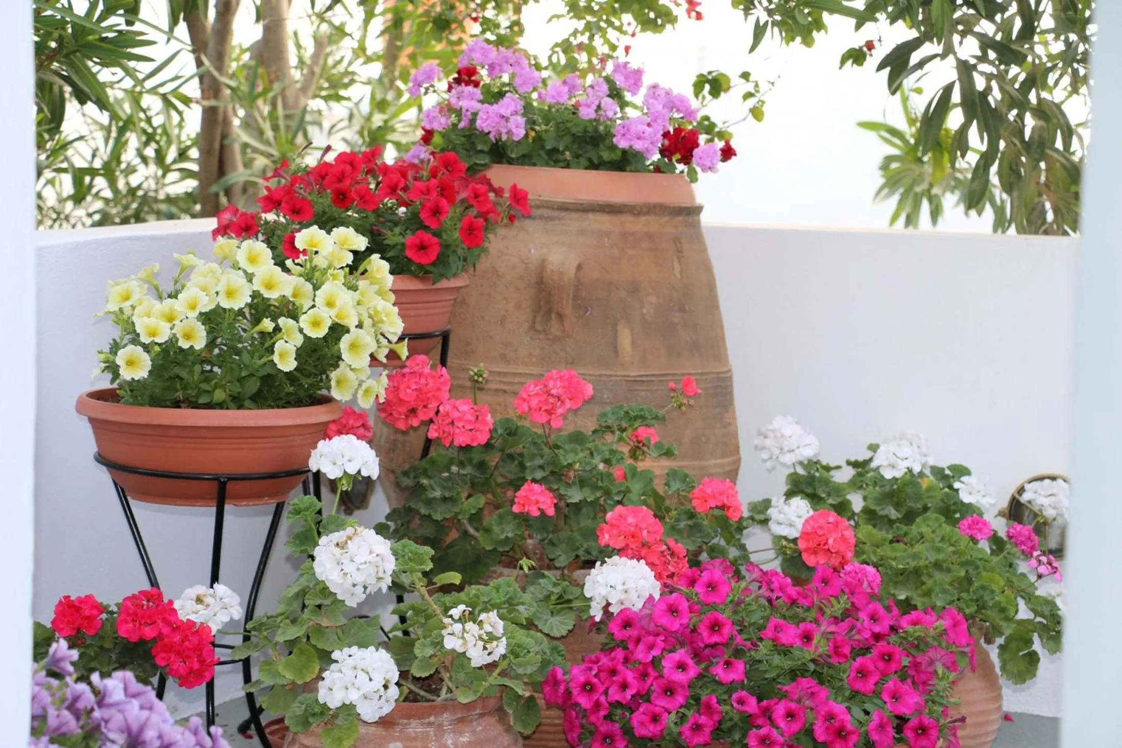 SPIROS & HIROKO Hotel - ADULTS ONLY