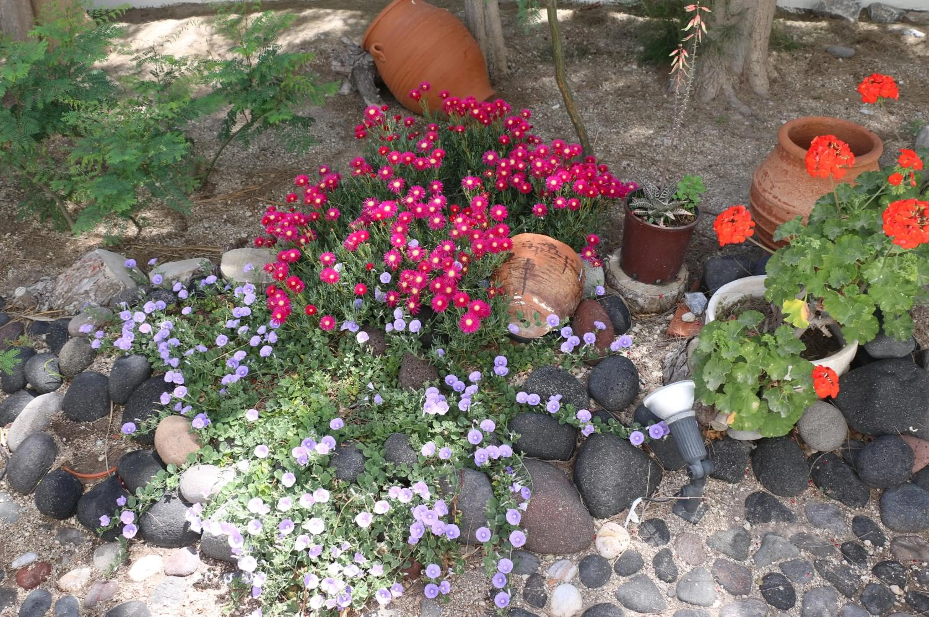 SPIROS & HIROKO Hotel - ADULTS ONLY