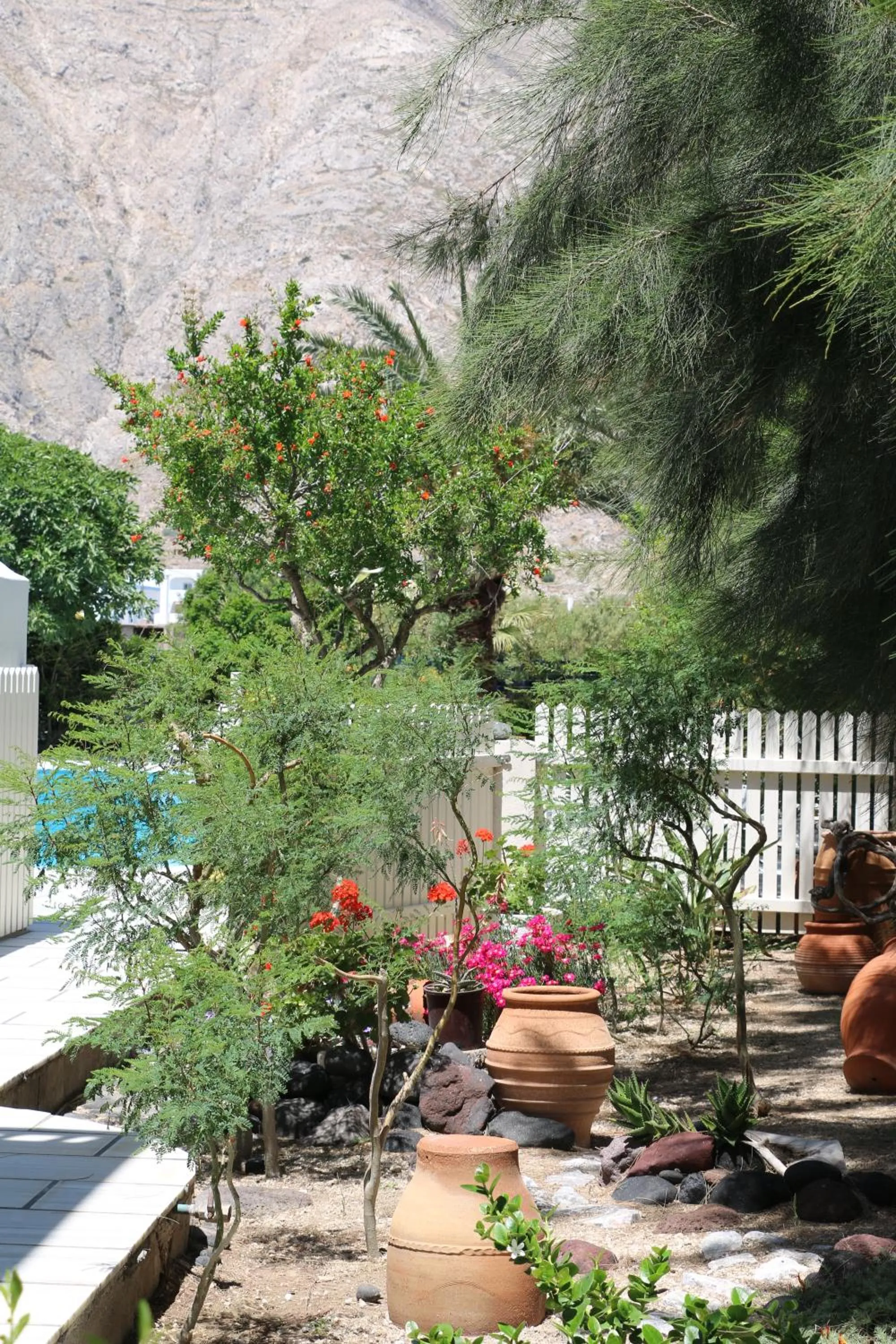 SPIROS & HIROKO Hotel - ADULTS ONLY