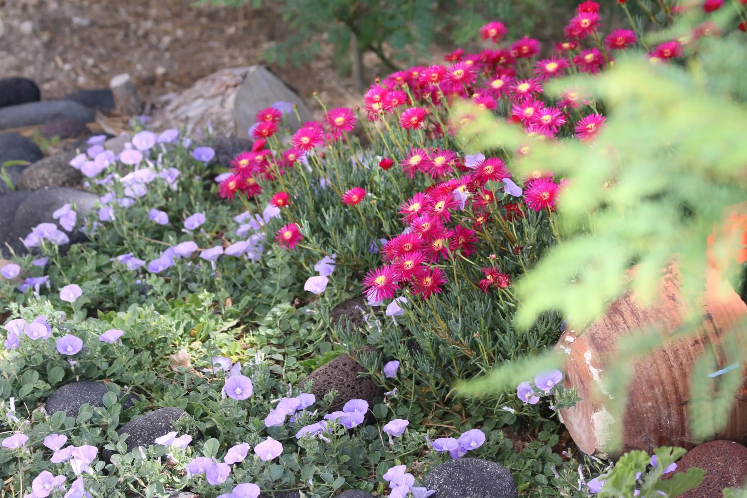 SPIROS & HIROKO Hotel - ADULTS ONLY