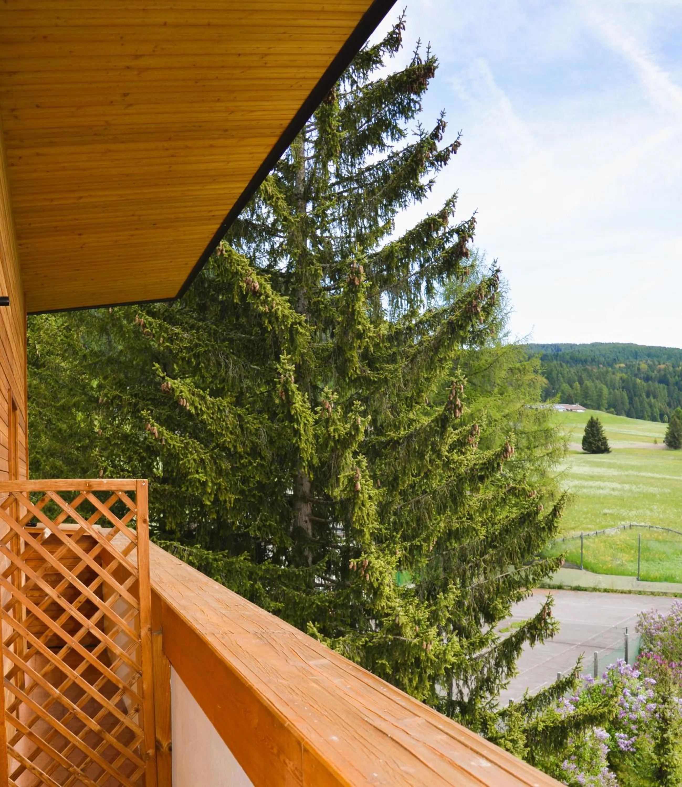 Balcony/Terrace in Park Hotel Sancelso
