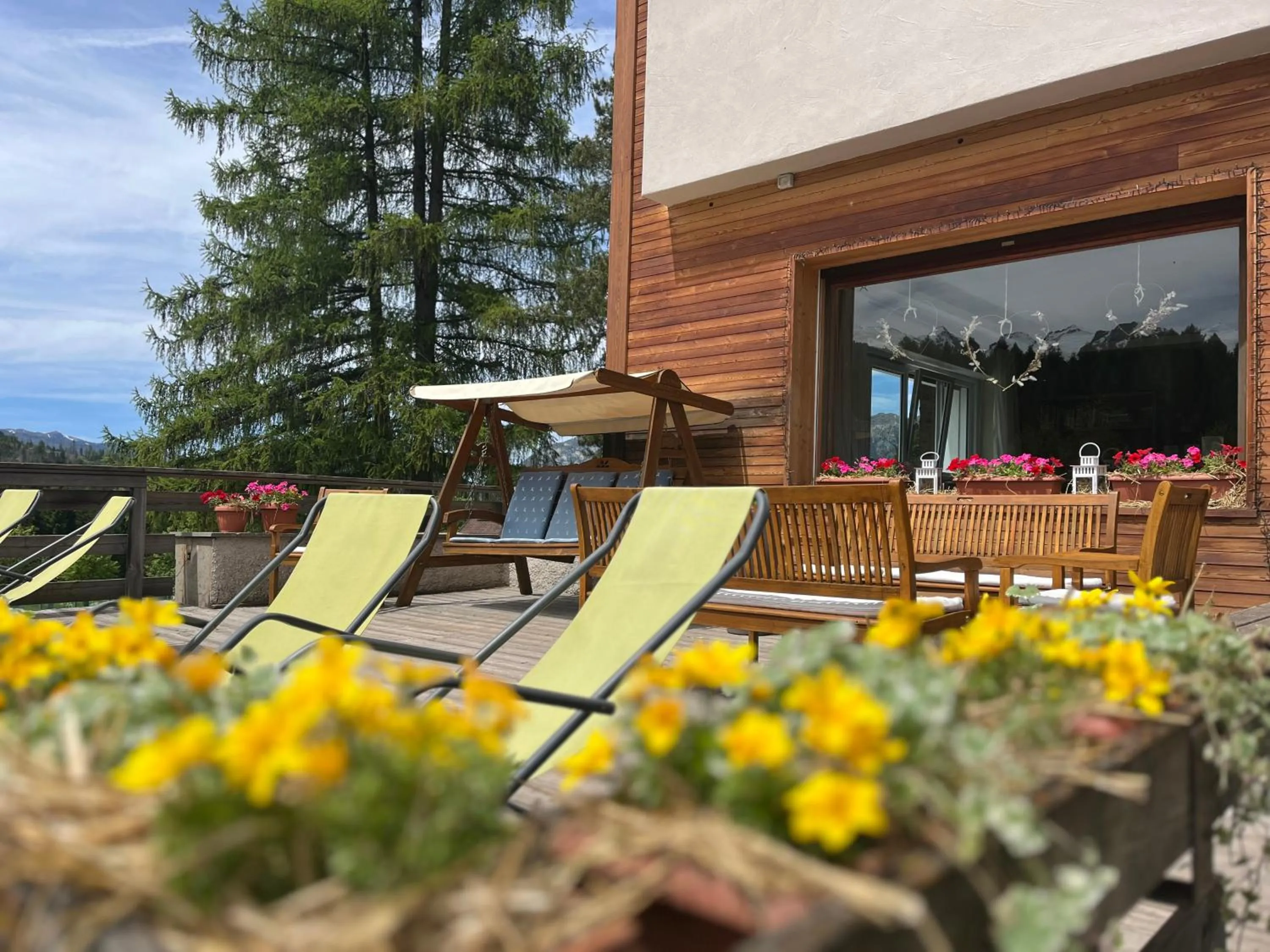 Balcony/Terrace in Park Hotel Sancelso