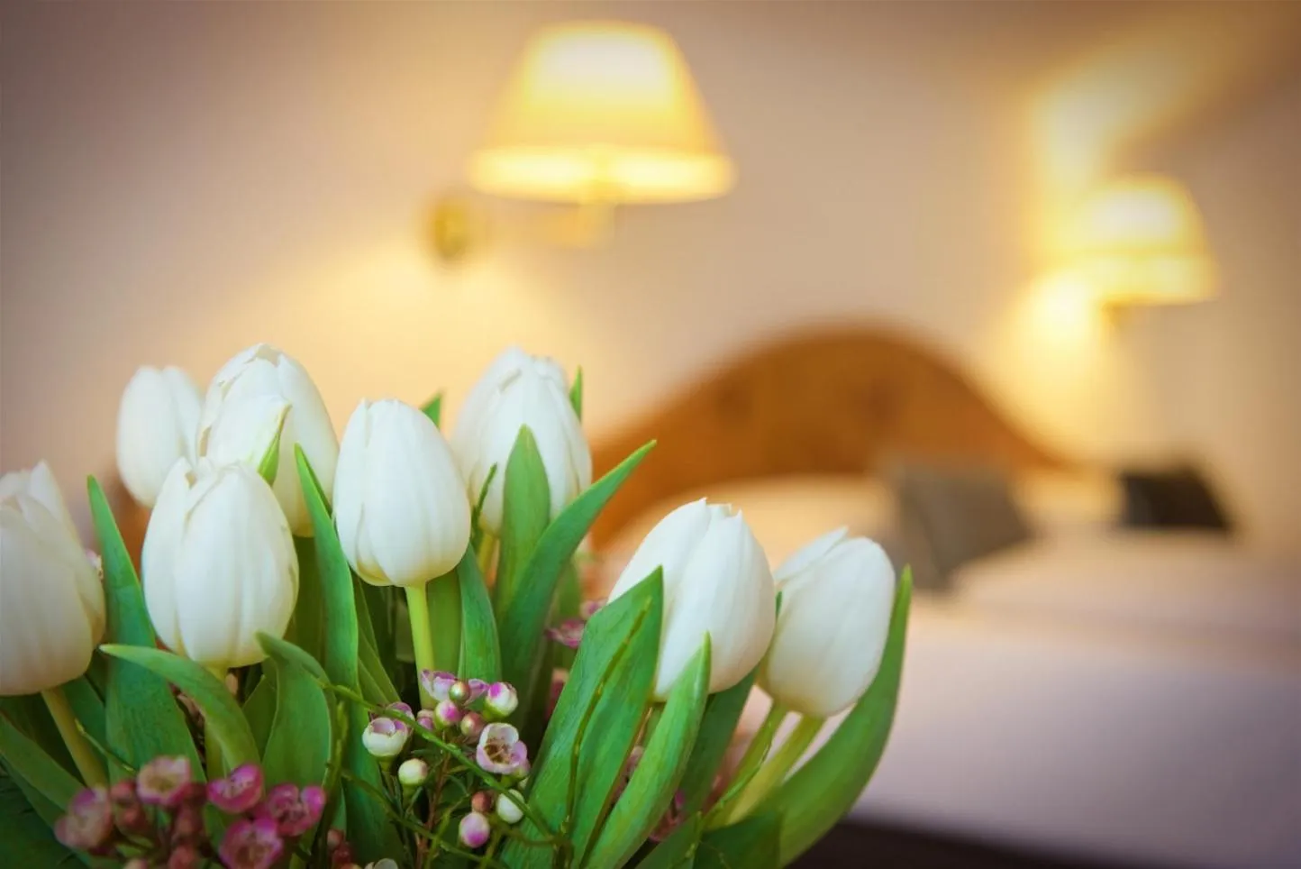 Photo of the whole room, Bed in Concordia Vitalhotel & SPA