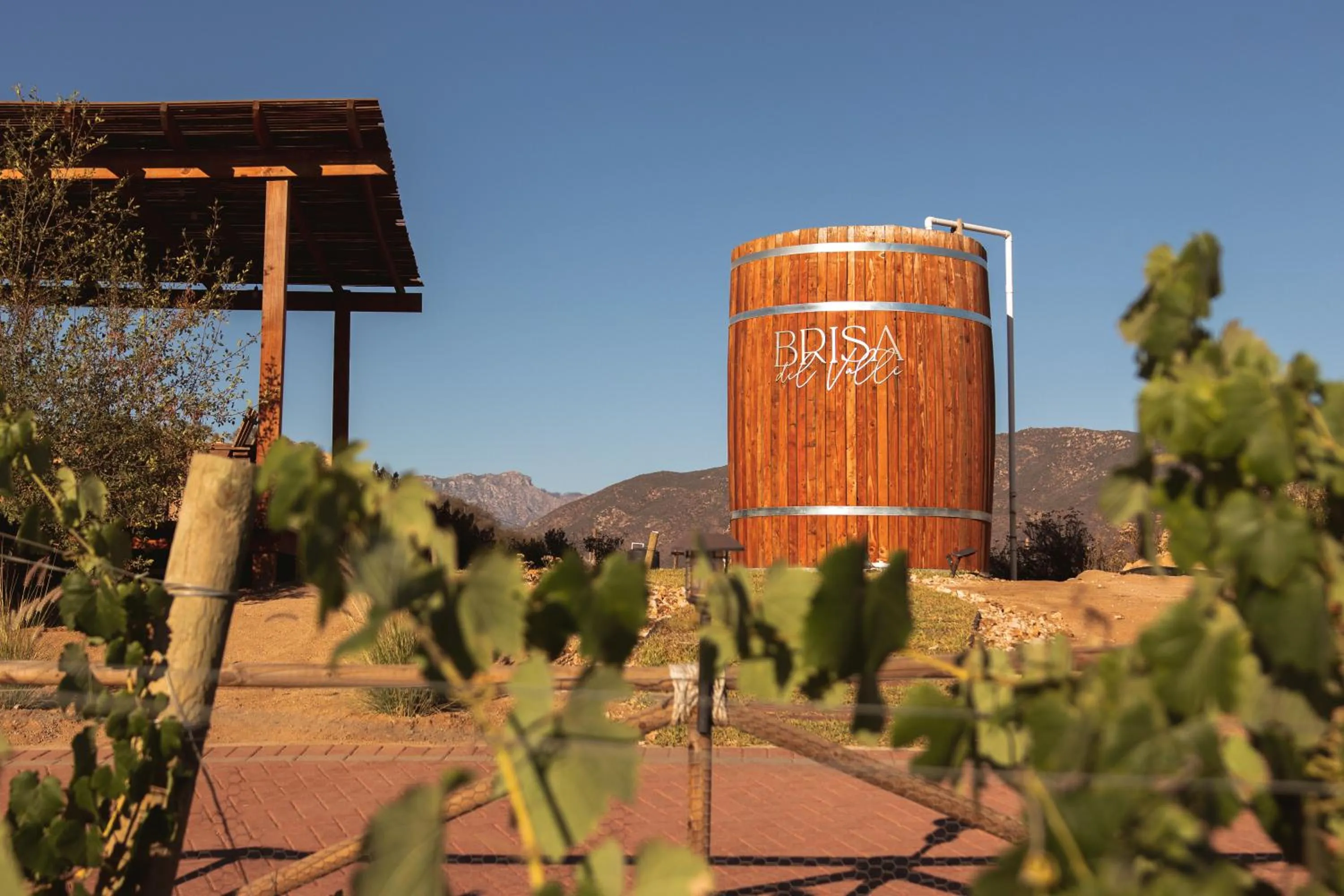 Day in Brisa Del Valle Hotel Boutique