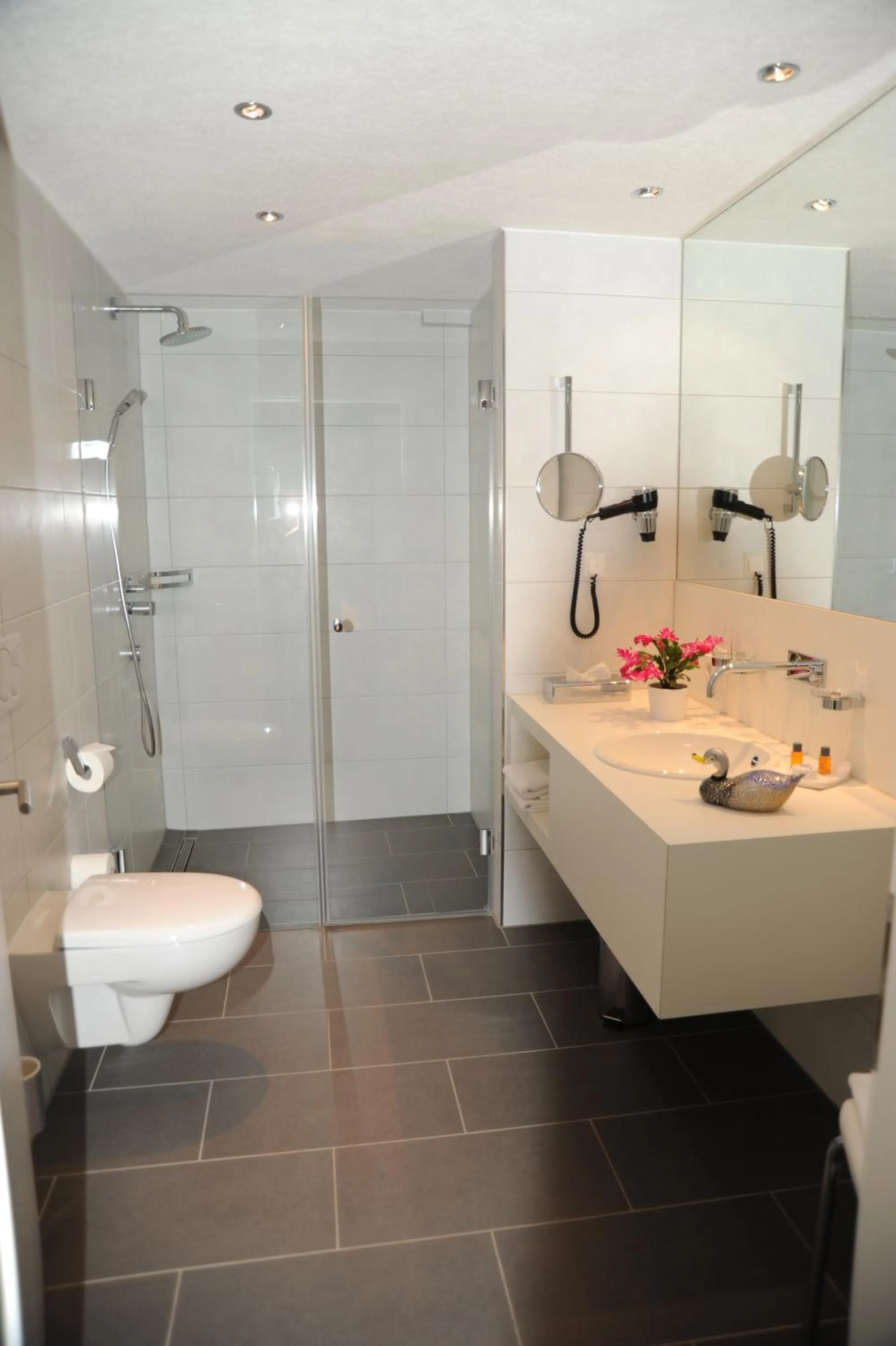 Bathroom in Hotel Adler - Weil am Rhein