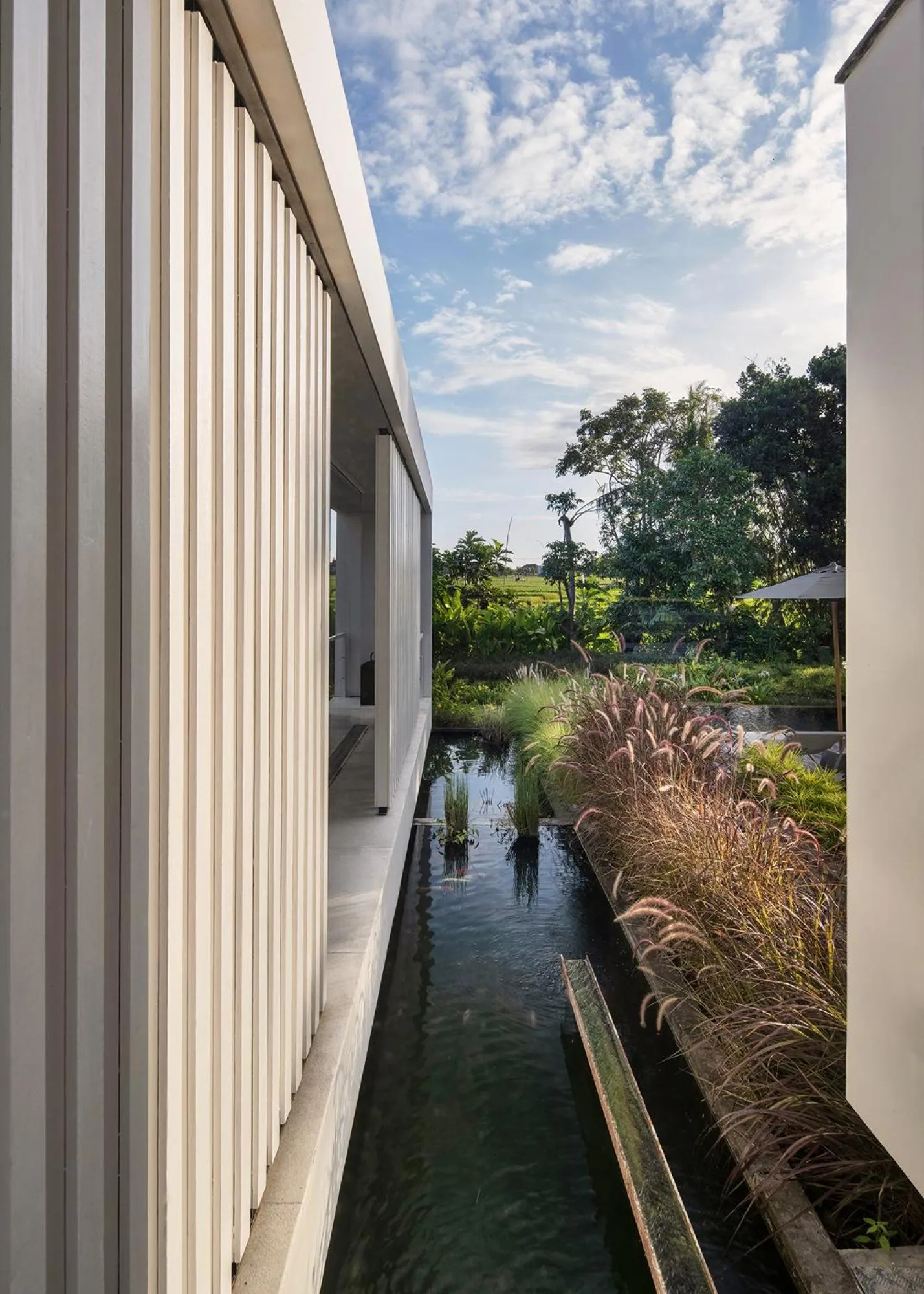 Natural landscape in La Maison d'Ulysse - Luxury 4-Bedroom Villa with Pool in Canggu