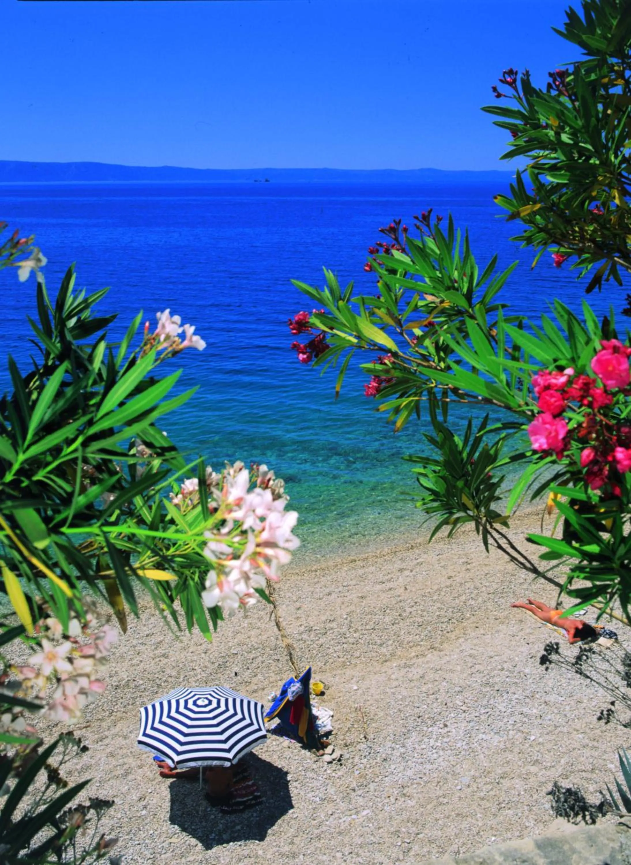 Day in Hotel Villa Marija