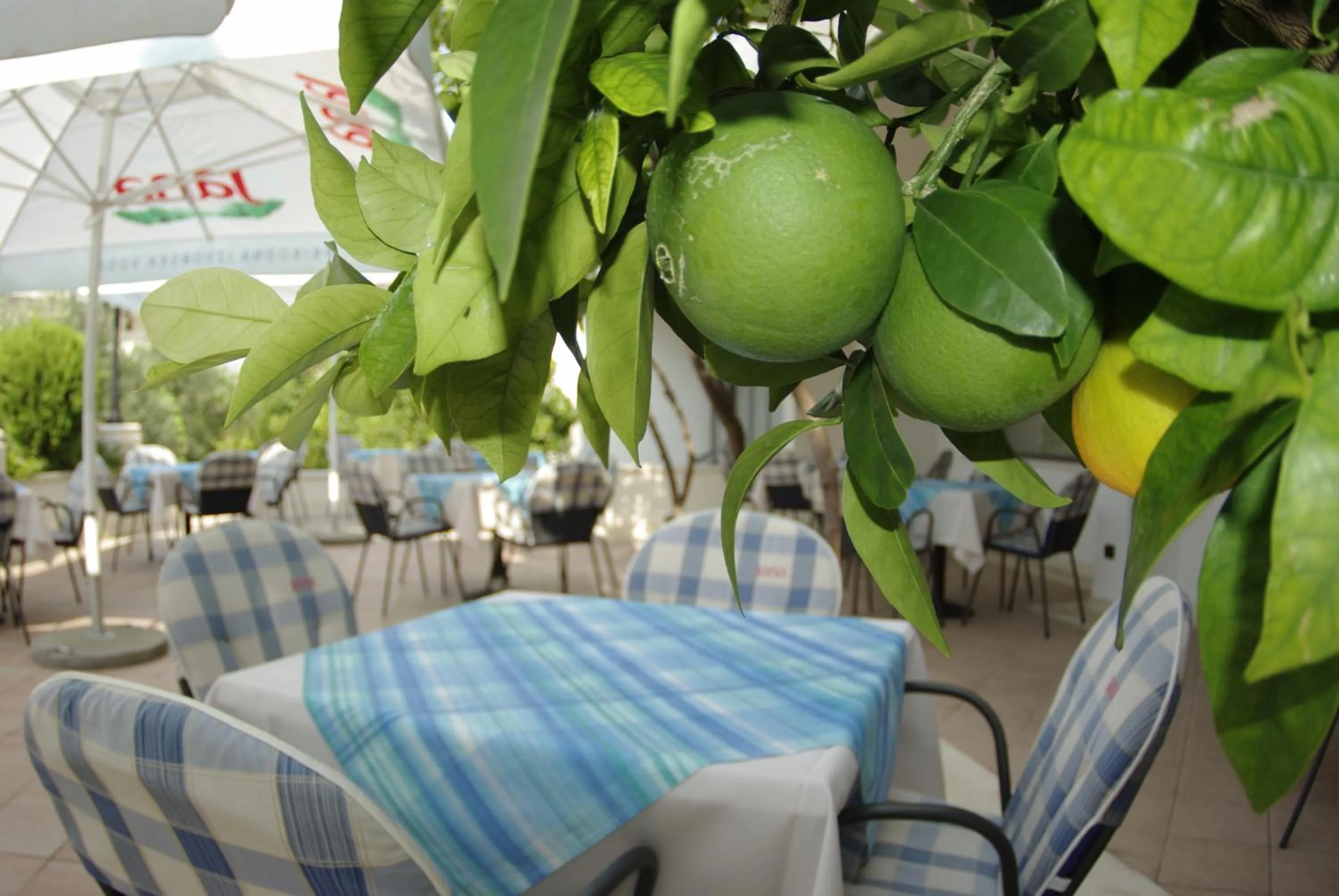 Lounge or bar in Hotel Villa Marija