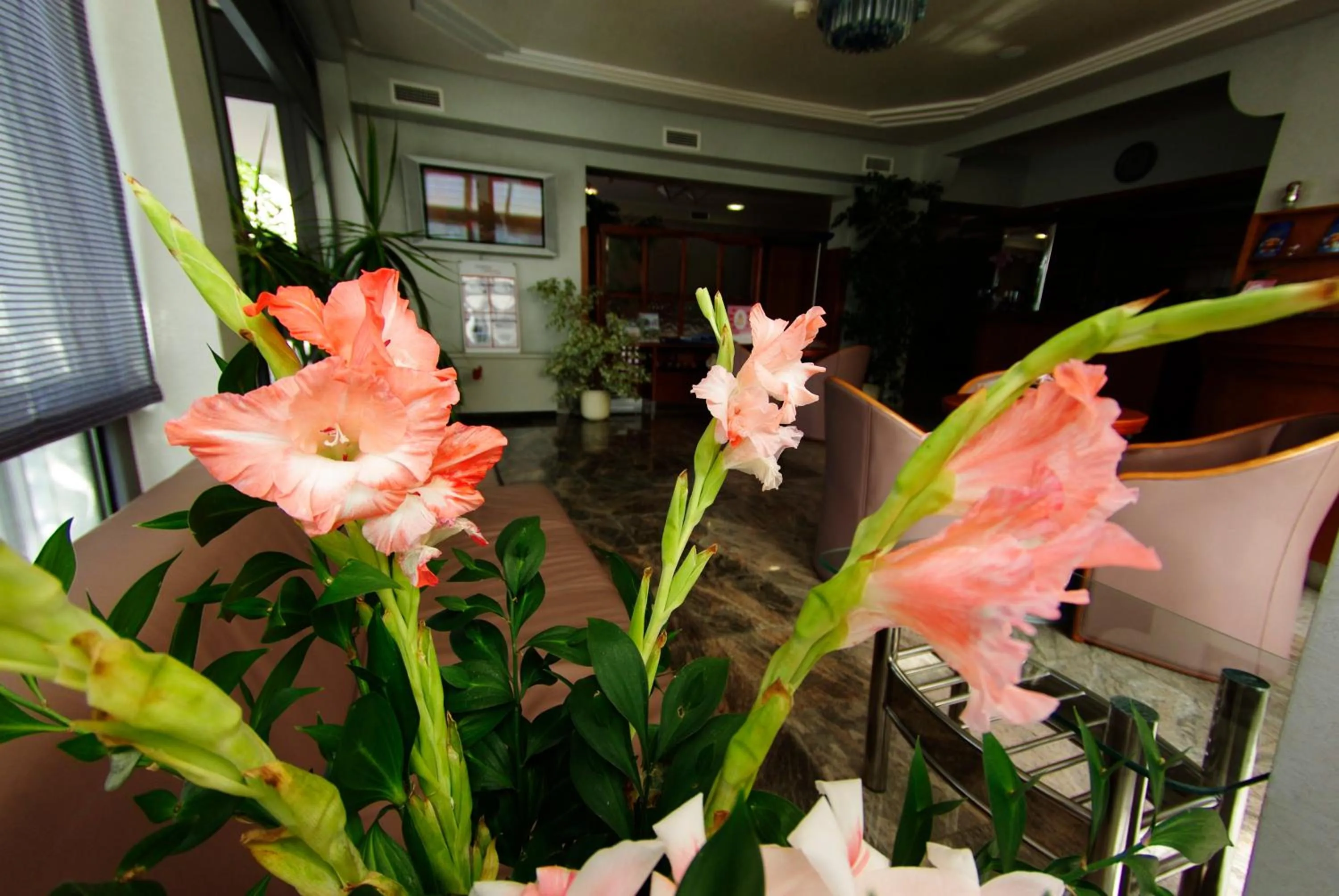 Lounge or bar in Hotel Villa Marija