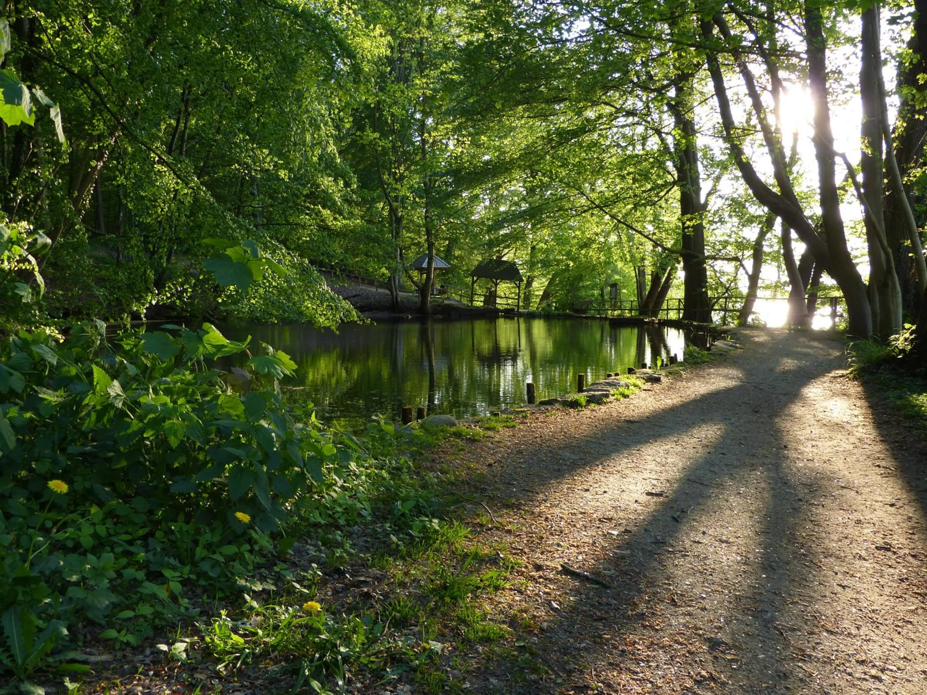 Natural landscape in Hotel Am Kurpark