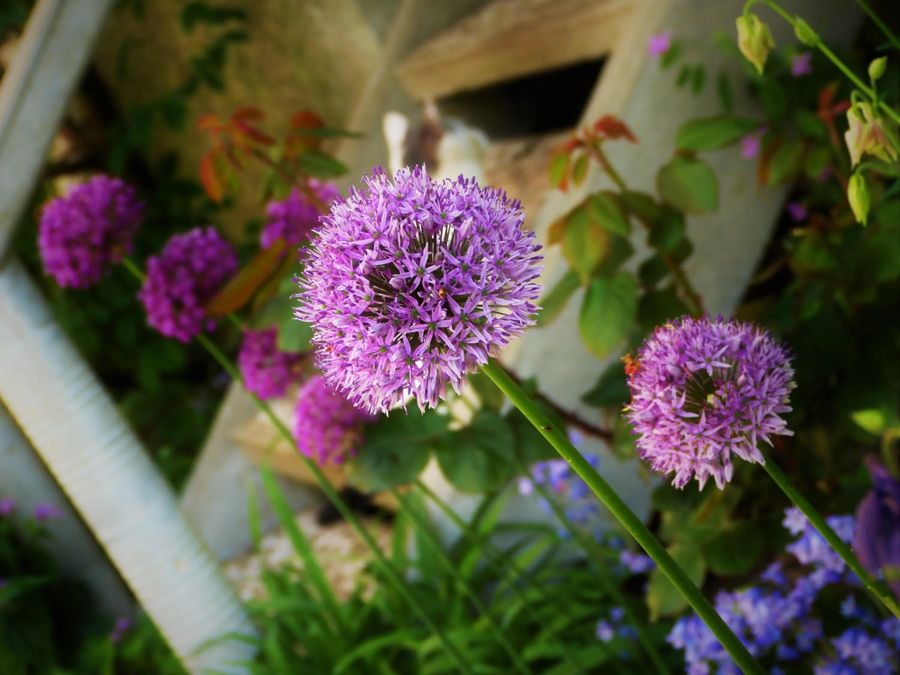 Decorative detail in Hotel Am Kurpark