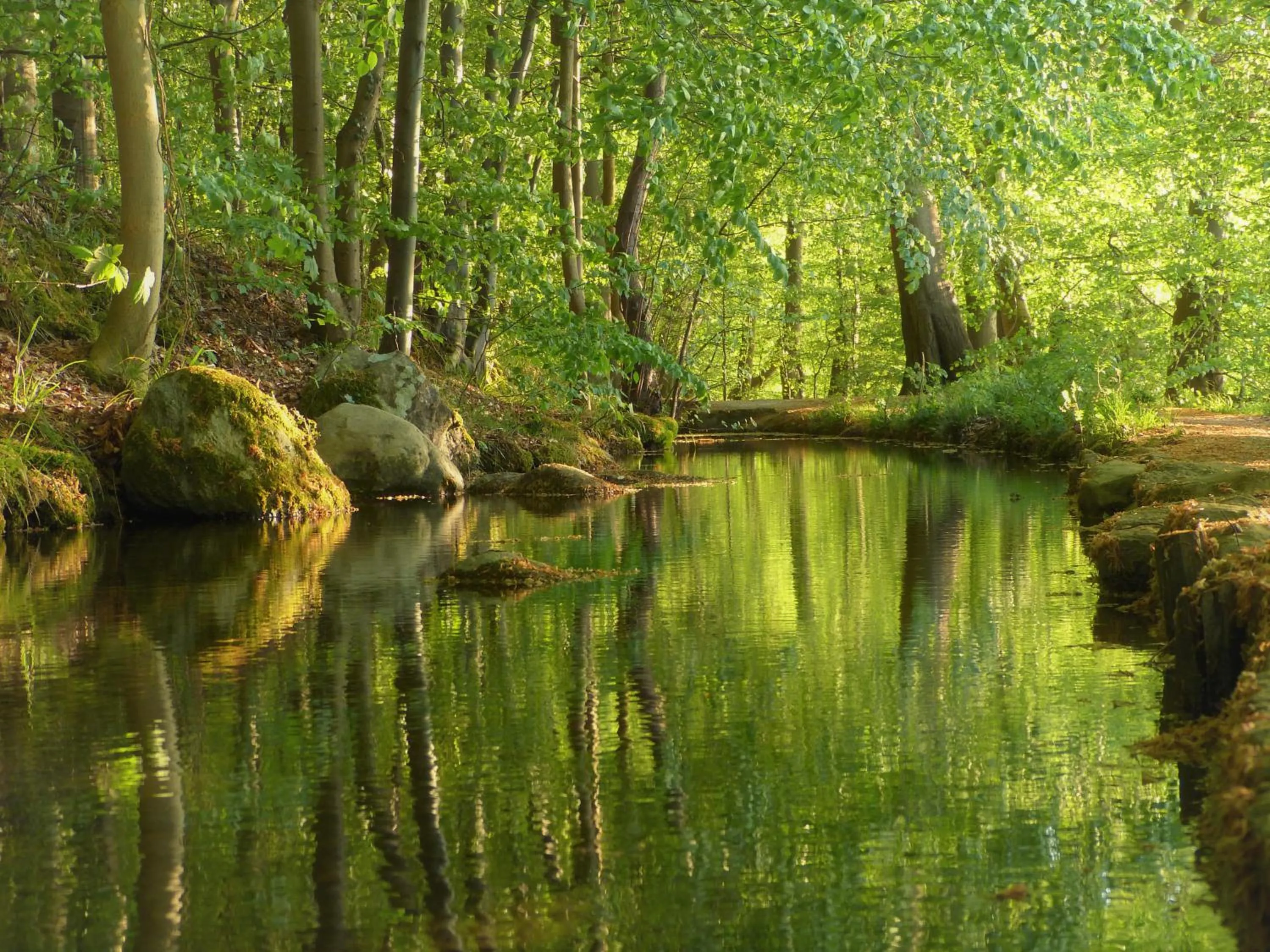 Hiking in Hotel Am Kurpark