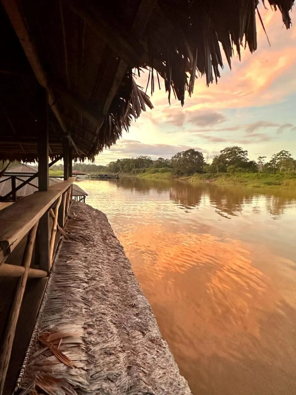 Natural landscape in Cabaña Flotante Kurupira