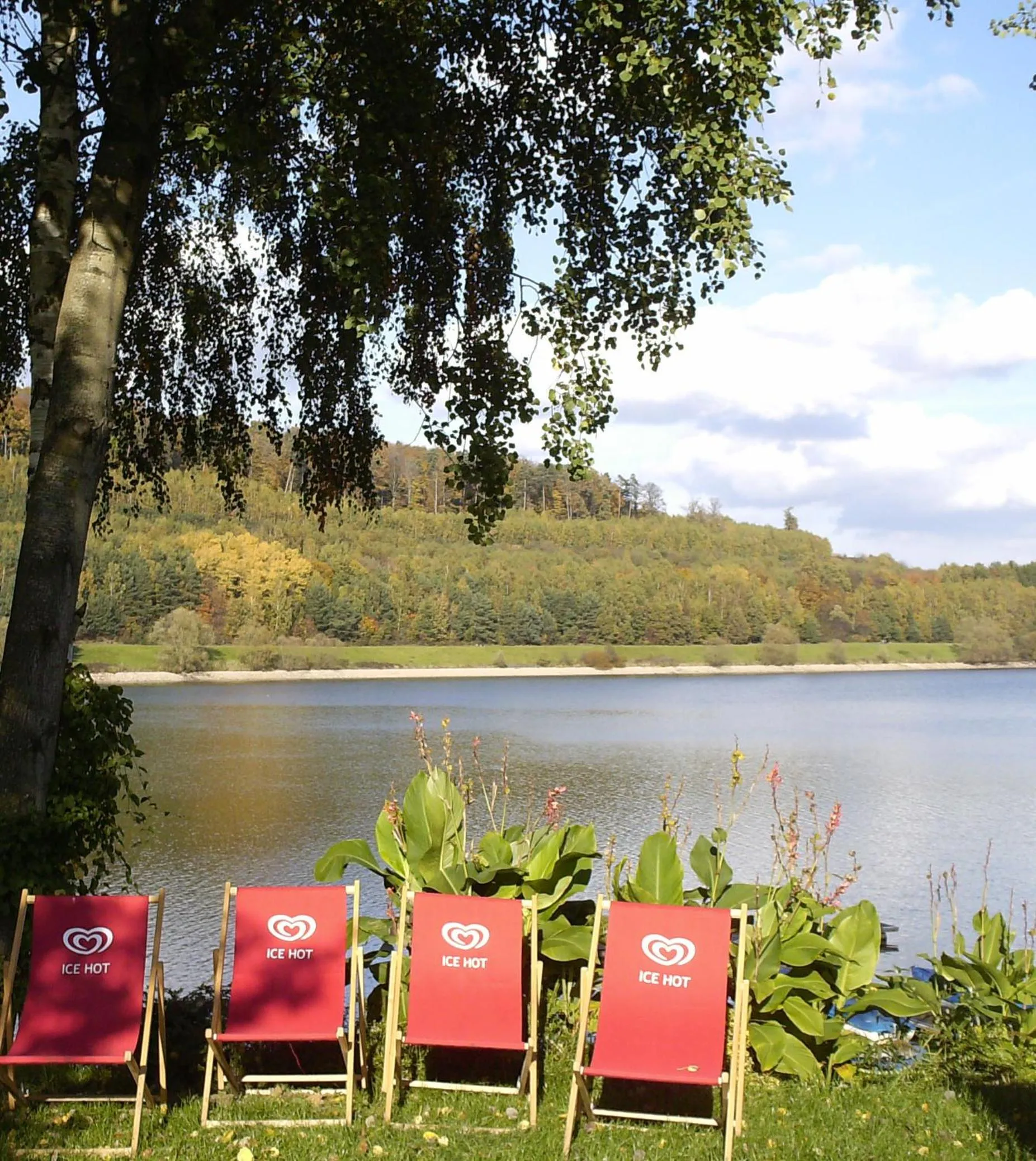 Day in KIShotel am Kurpark