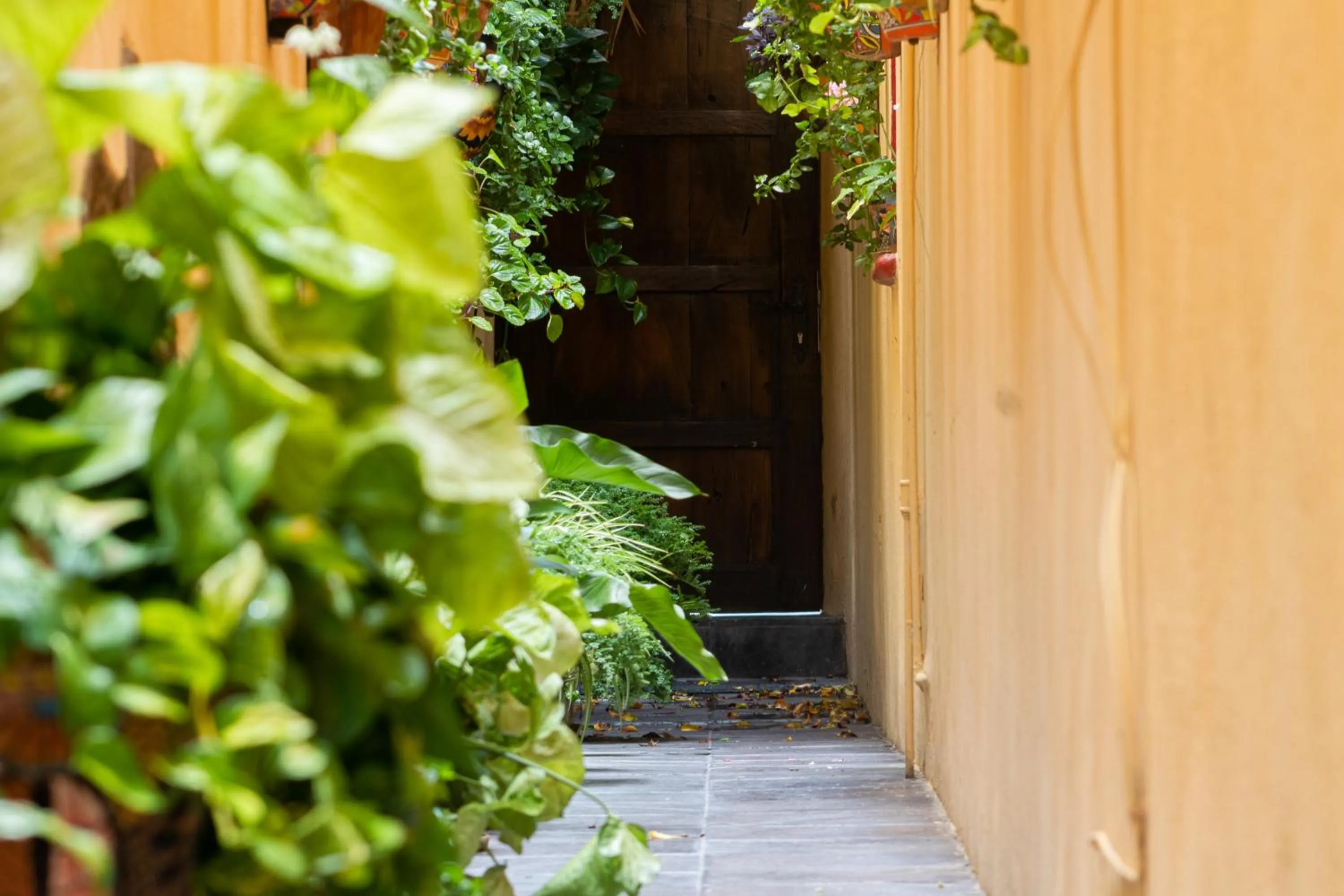 Lobby or reception in Casa Maricela B&B