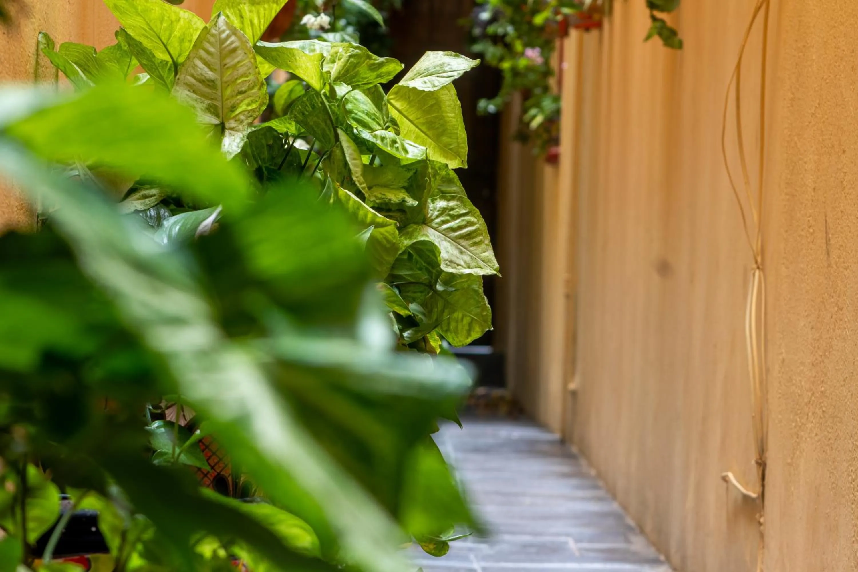 Lobby or reception in Casa Maricela B&B