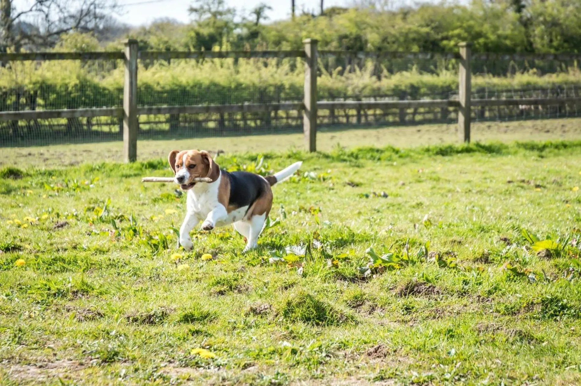 Floor plan in Primrose - 1 Bedroom Cottage - Llanteg