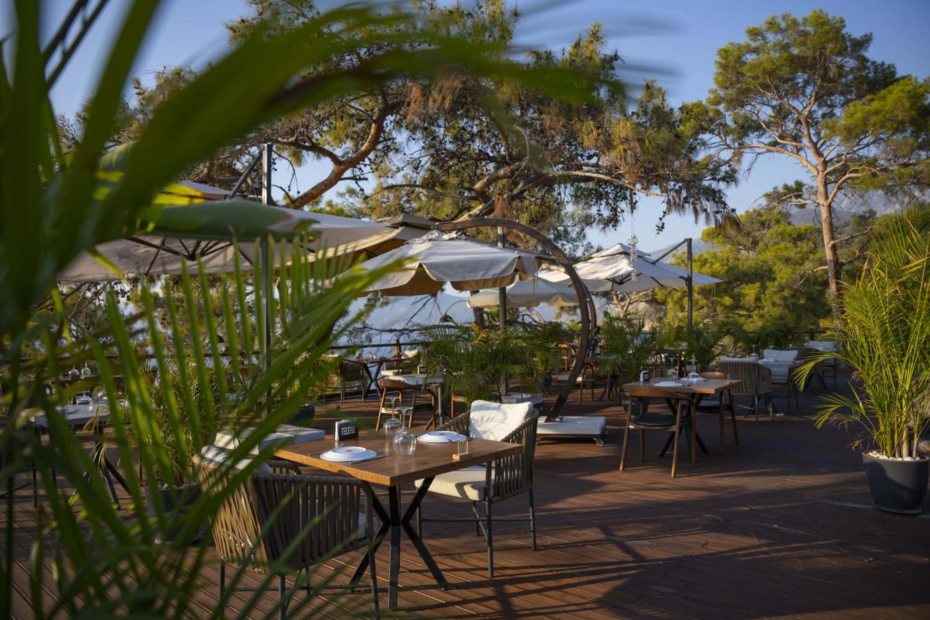 Restaurant/places to eat in Lov Faralya Adults Only