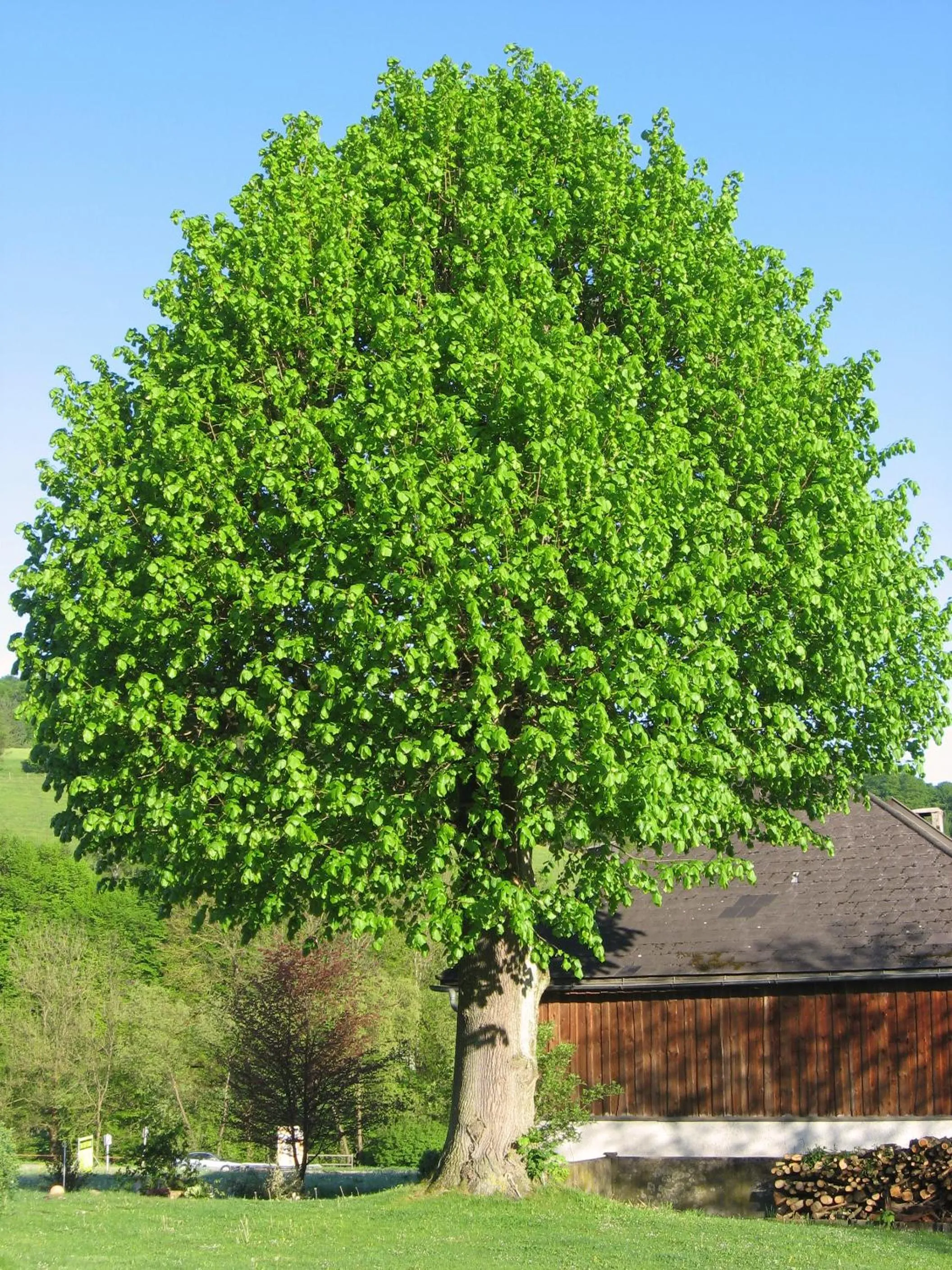 Garden in Dörrmühle