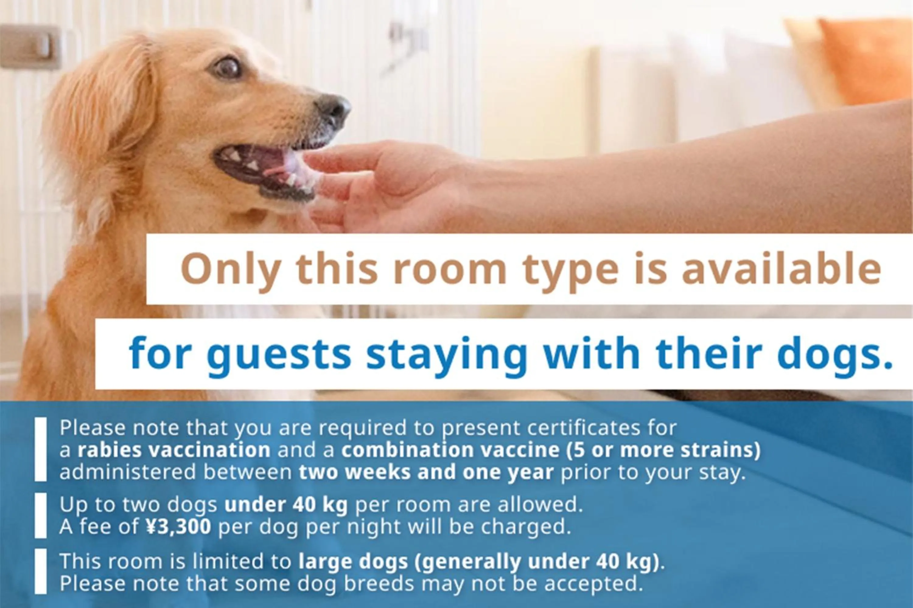 pet friendly in Shimoda Prince Hotel