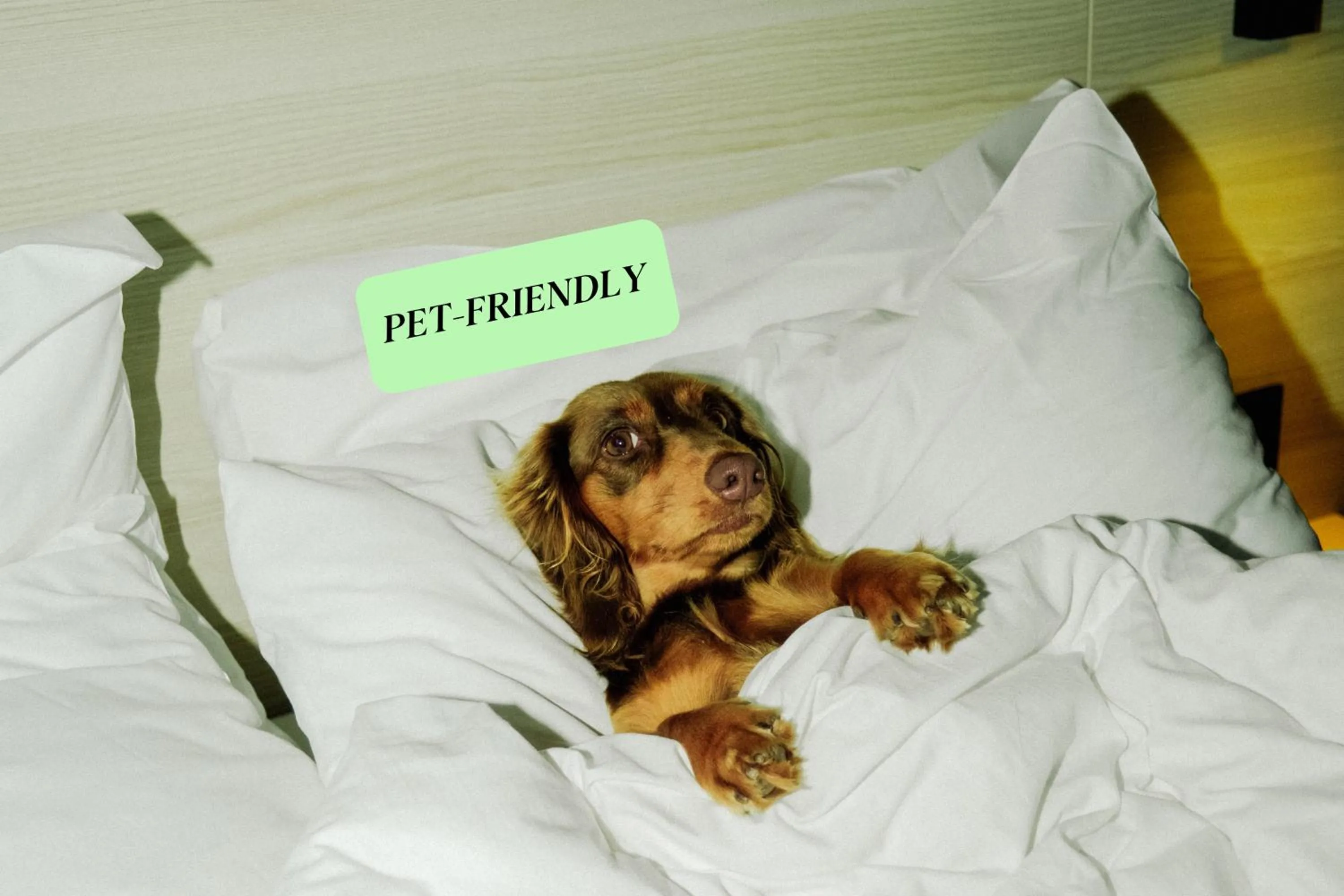 Bed in Citybox Antwerp City Center