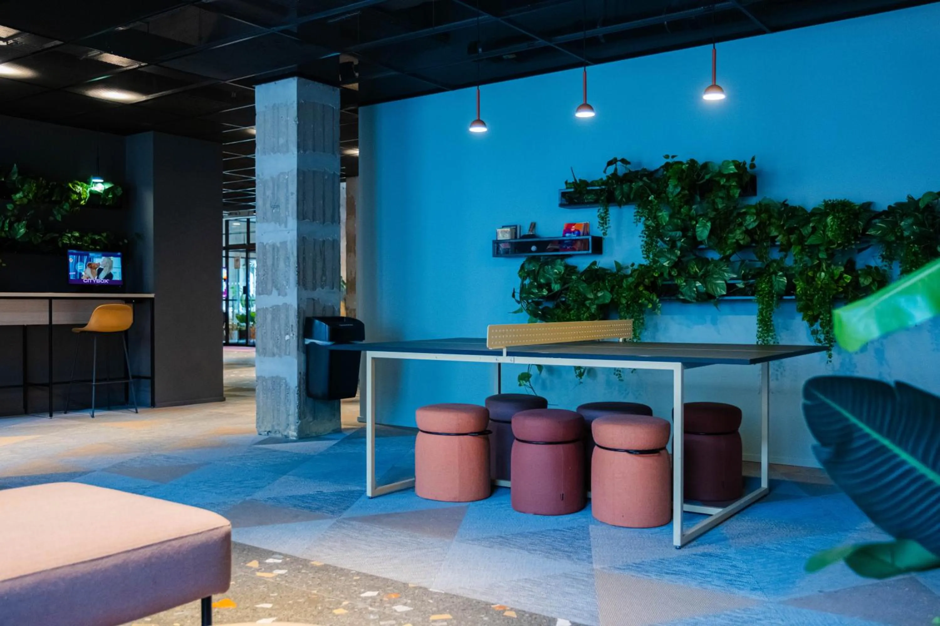 Communal lounge/ TV room in Citybox Antwerp City Center