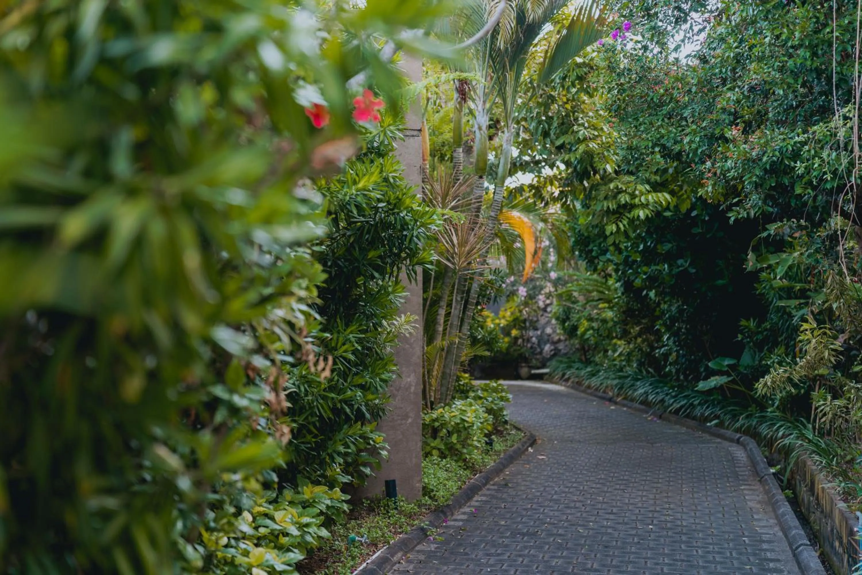 Garden in Ulu Segara Luxury Suites & Villas